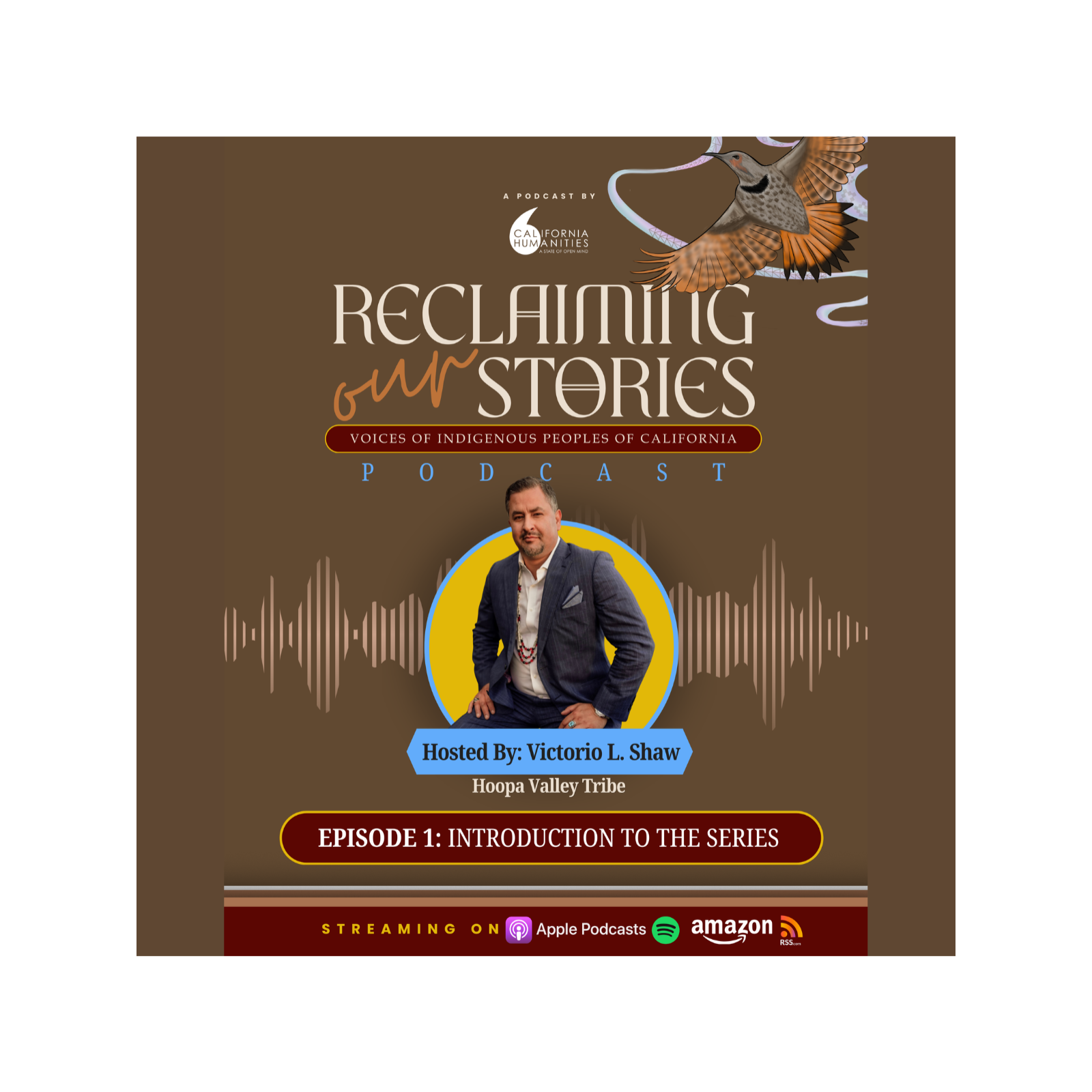Introduction to Reclaiming Our Stories  episode artwork