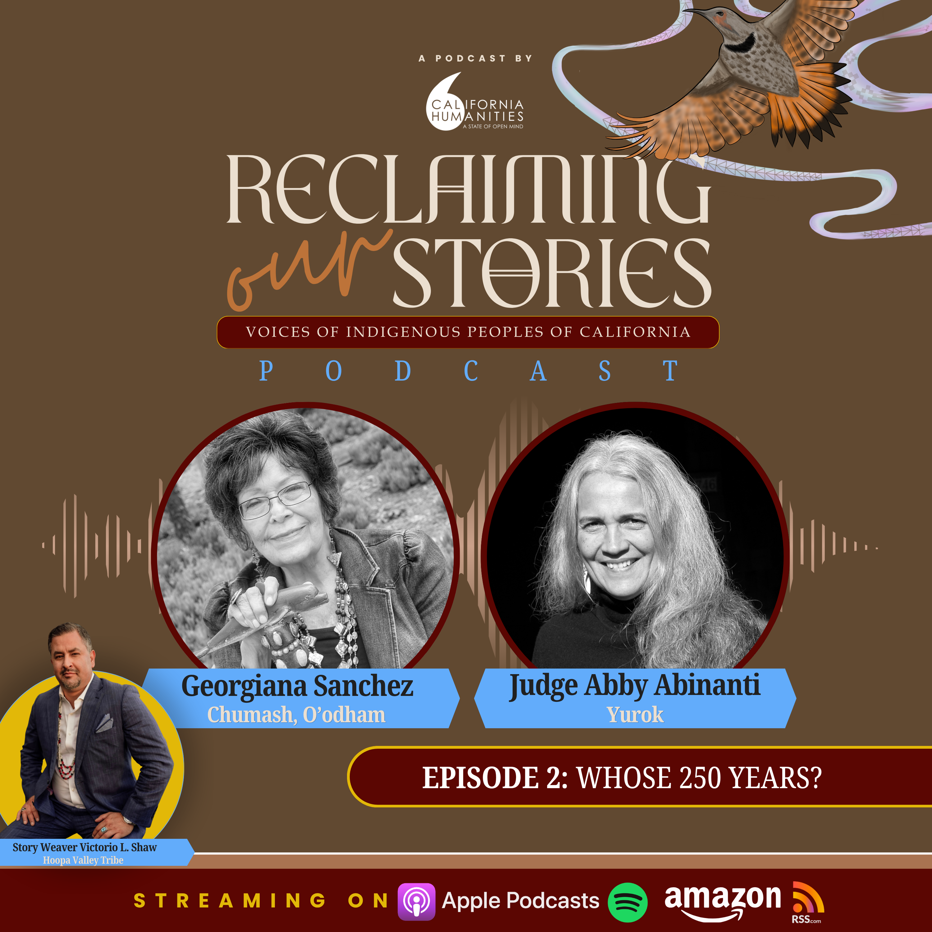 Whose 250 Years?  episode artwork