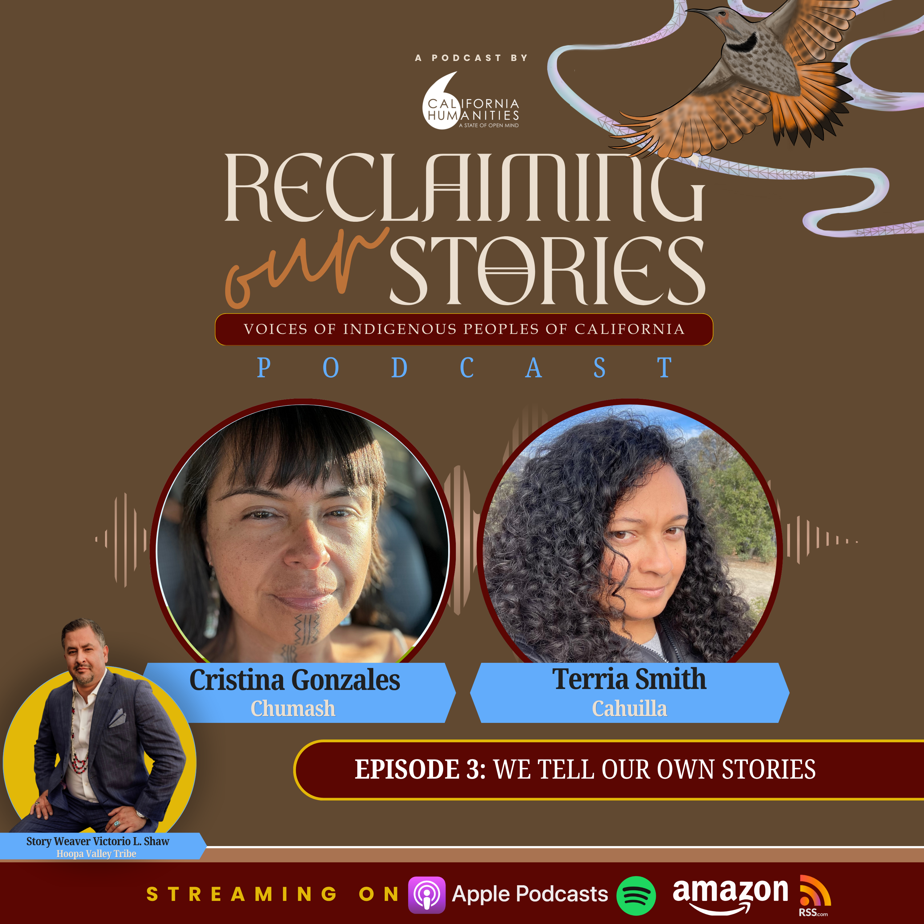 We Tell Our Own Stories episode artwork