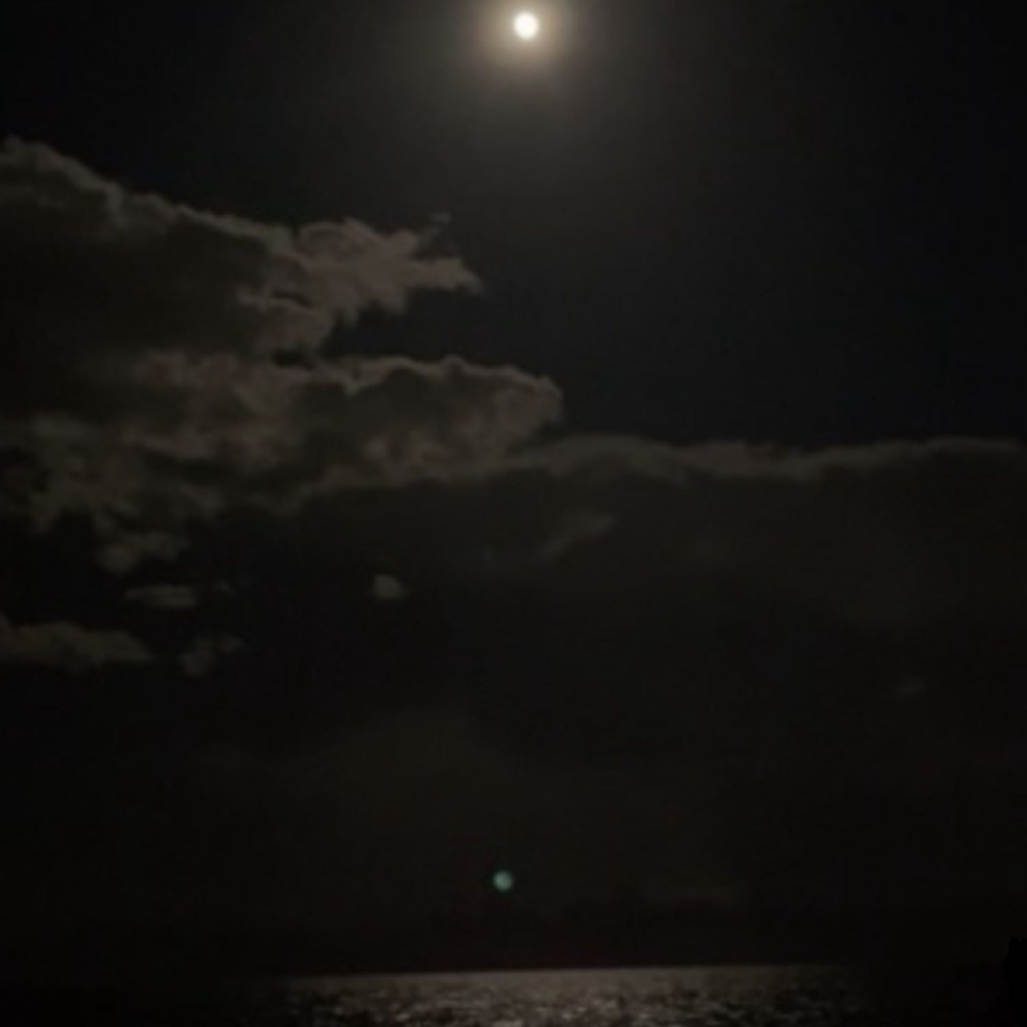 not allowed instrumental 