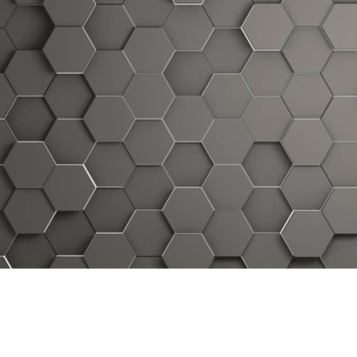 Calling All Explorers