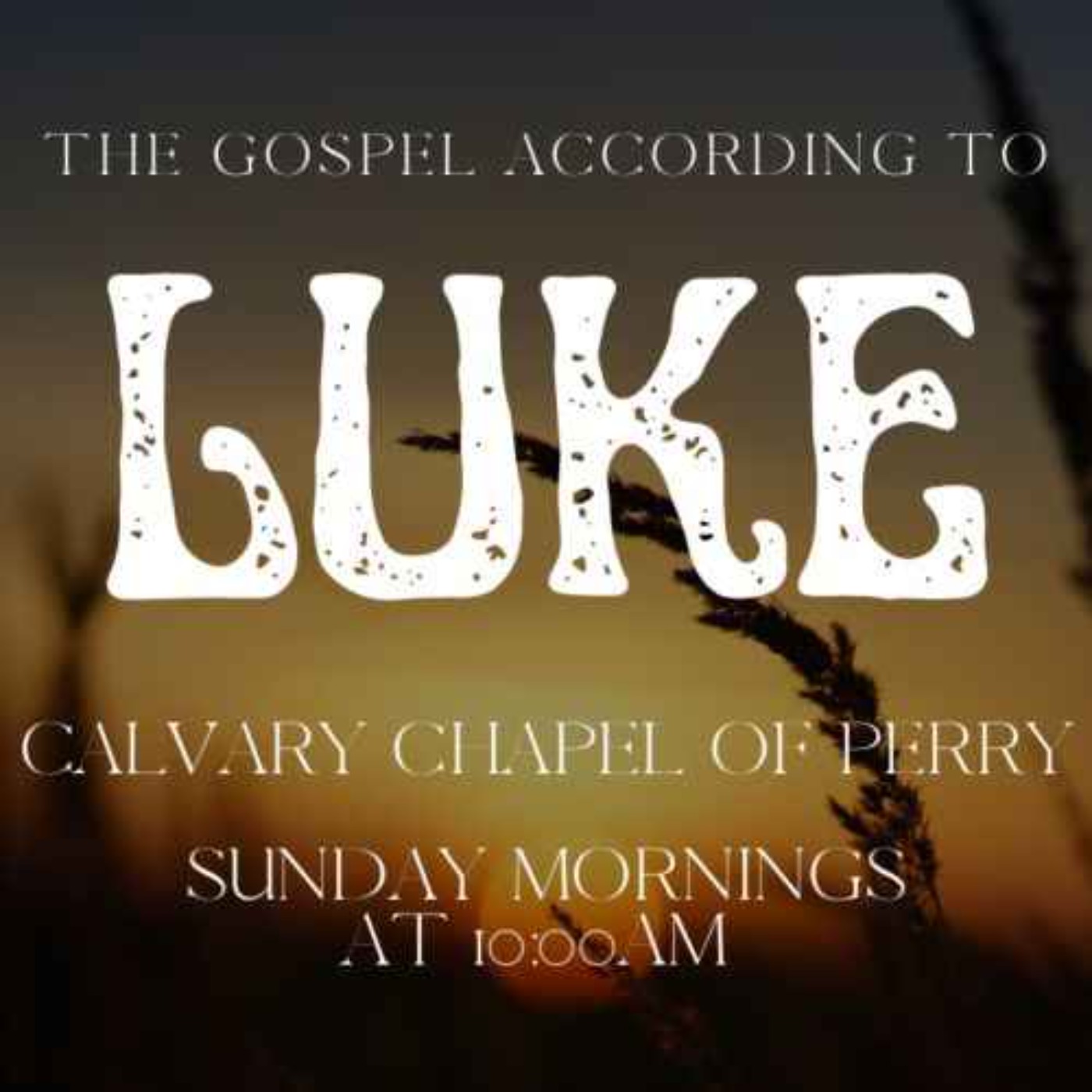 September 1st, 2024 | Week 43 - Gospel of Luke 18:35-19:10 | Pastor Harley Doneburg