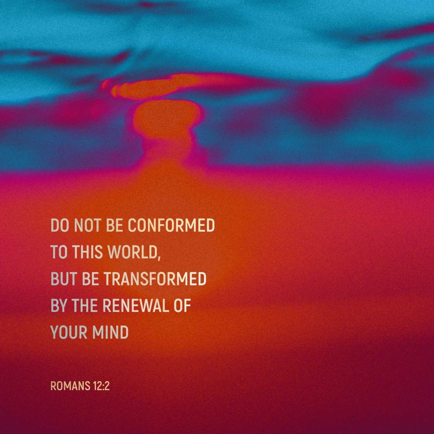 Transformed 1-28-24
