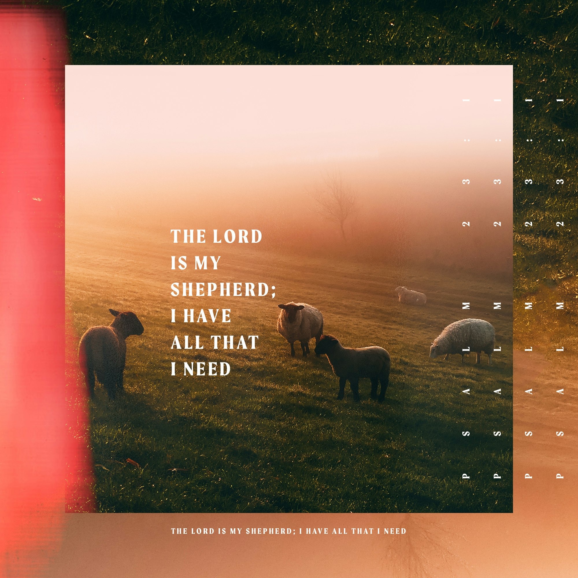 Psalm 23 6-30-24