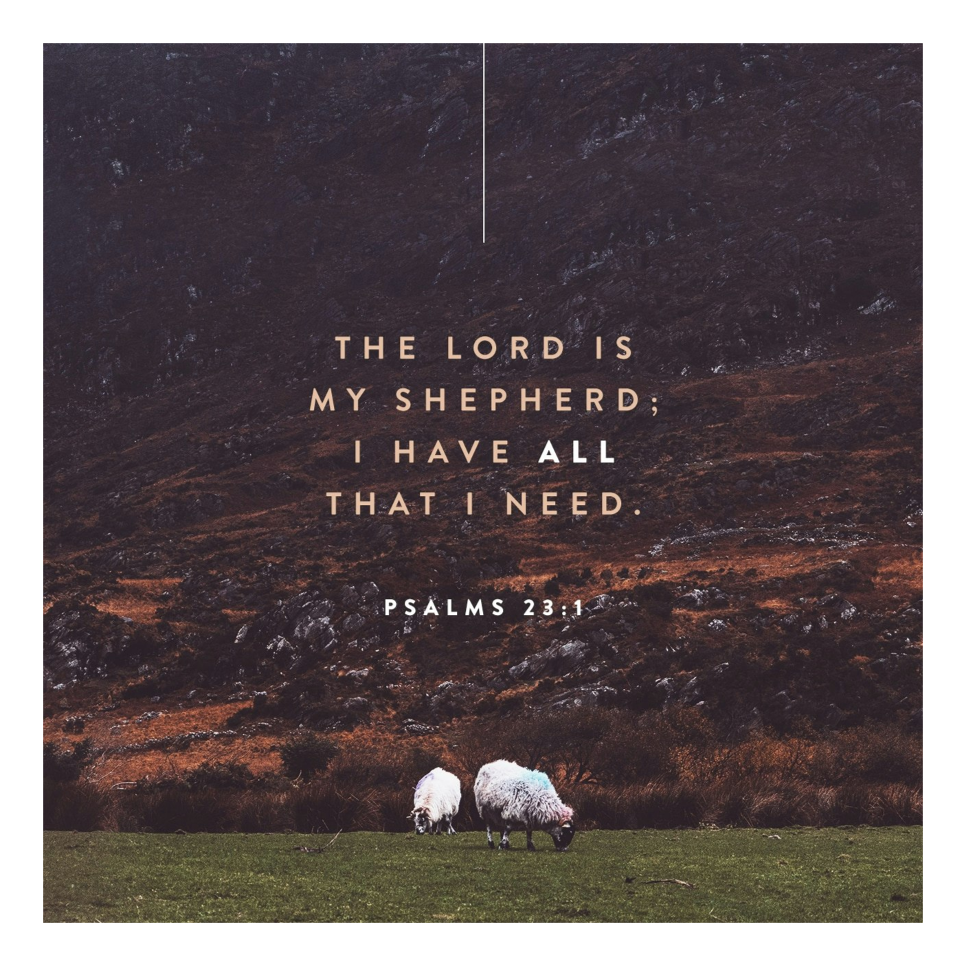 Psalm 23 7-21-24