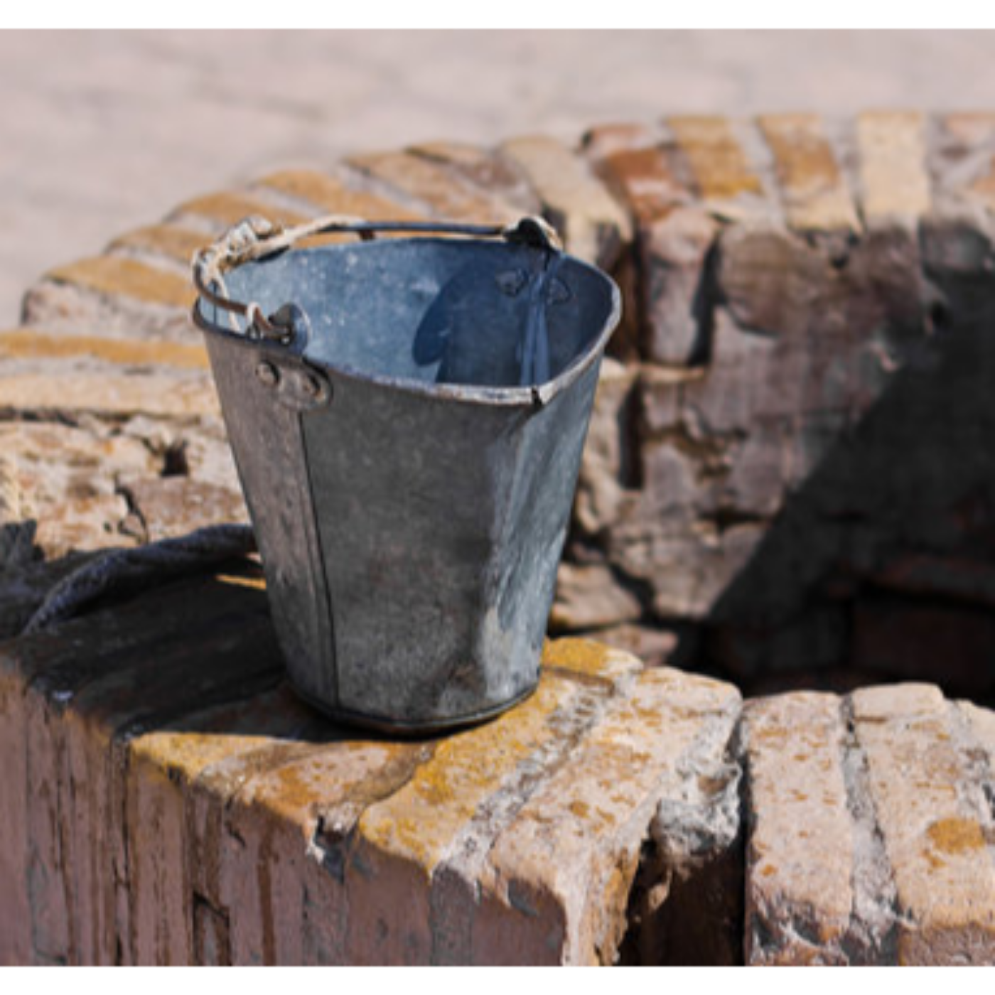 Bucket Life 11-17-24