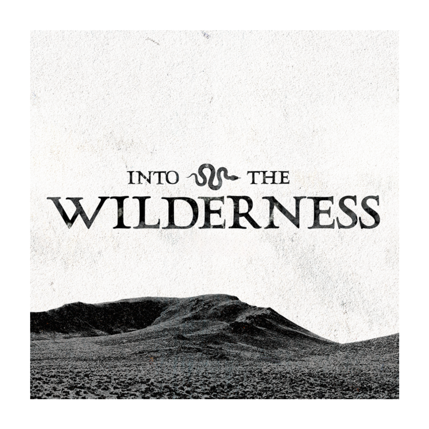 Wilderness 12-8-24
