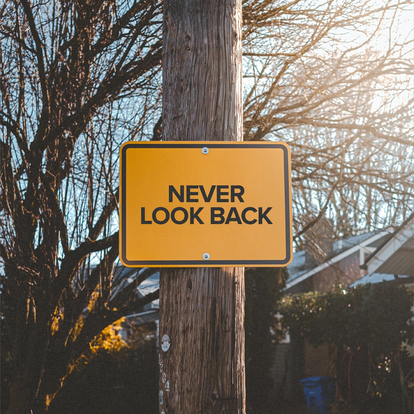 Don't Look Back 9-14-25