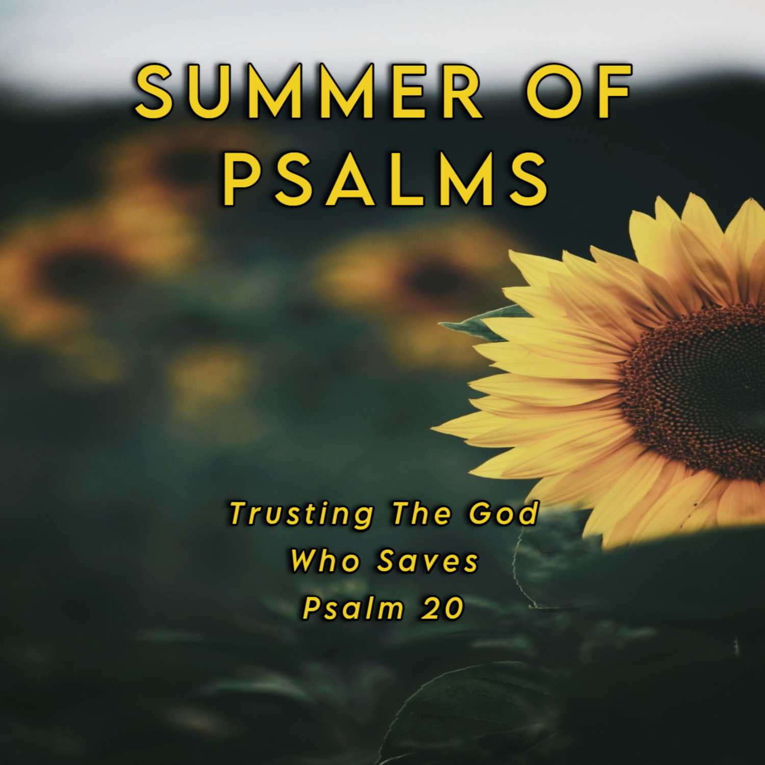 Summer of Psalms: Trusting the God Who Saves episode artwork
