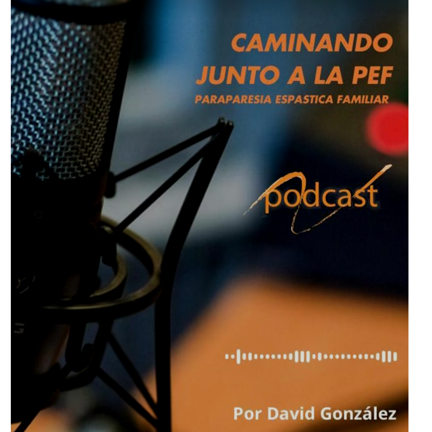 CAMINANDO JUNTO A LA PEF podcast artwork
