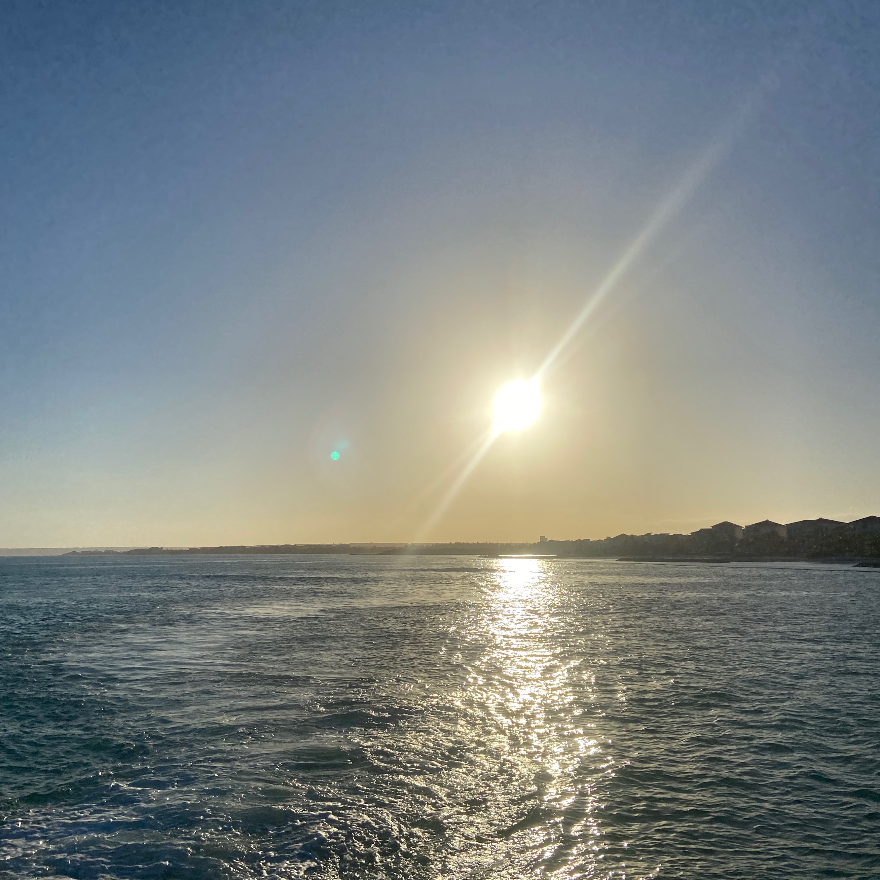 Camino y Contemplación