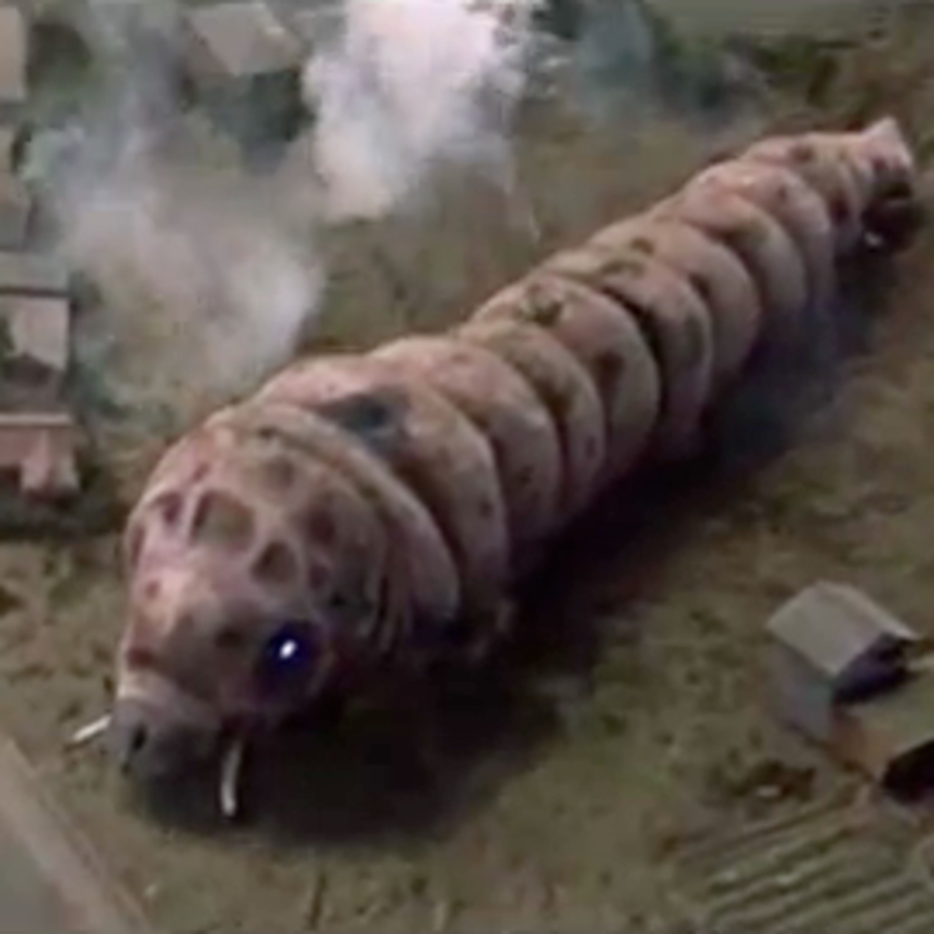 Mothra (1962) and More feat. Ben Cook-Feltz