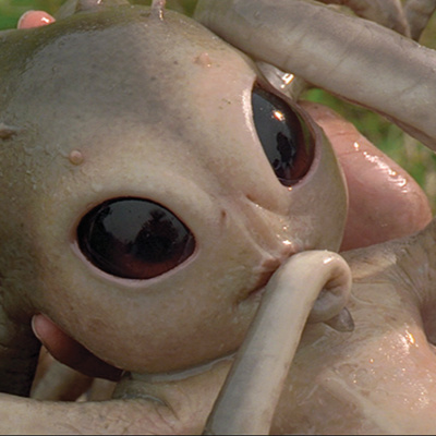 Men in Black (1997)