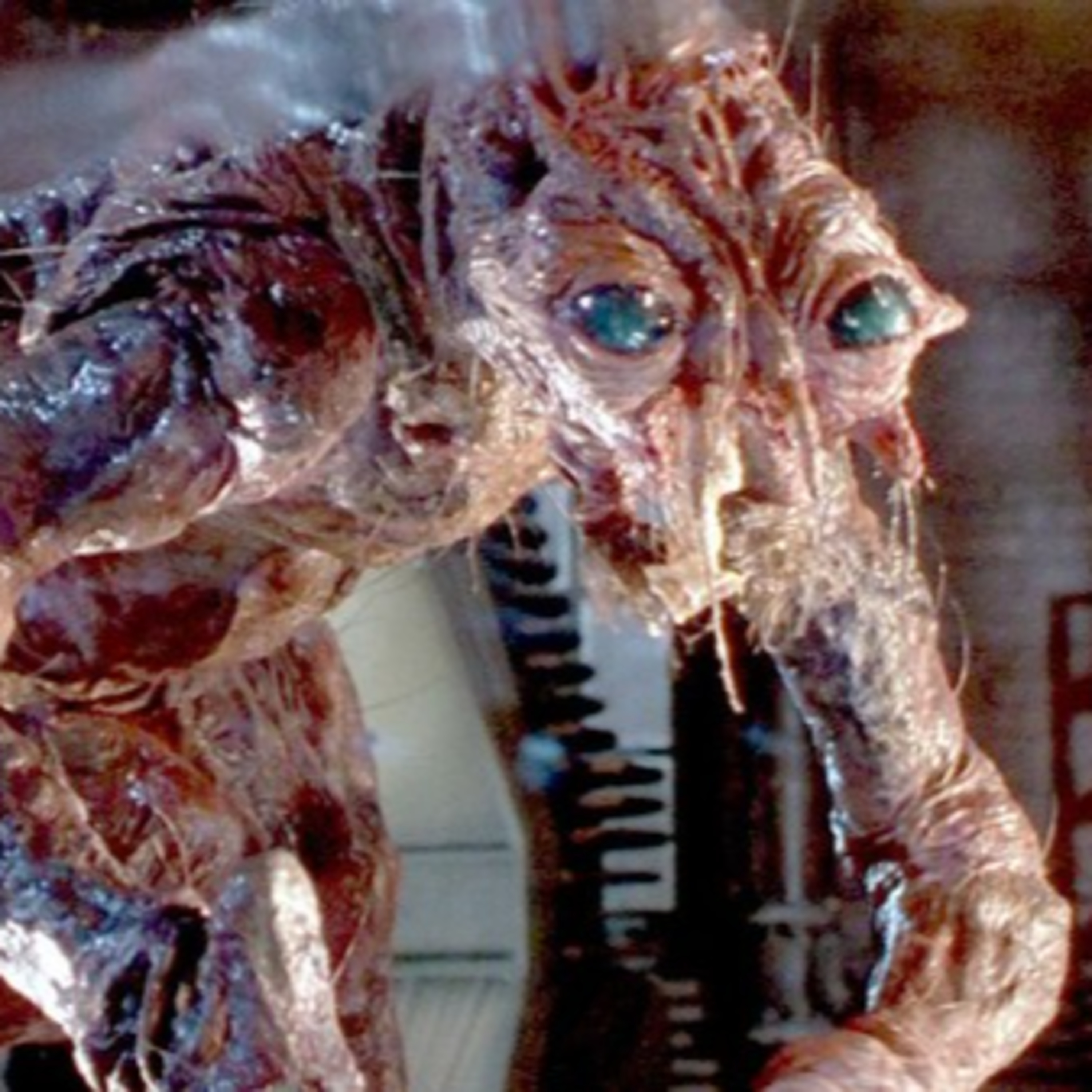 The Fly (1986) feat. Matthew Cole Levine