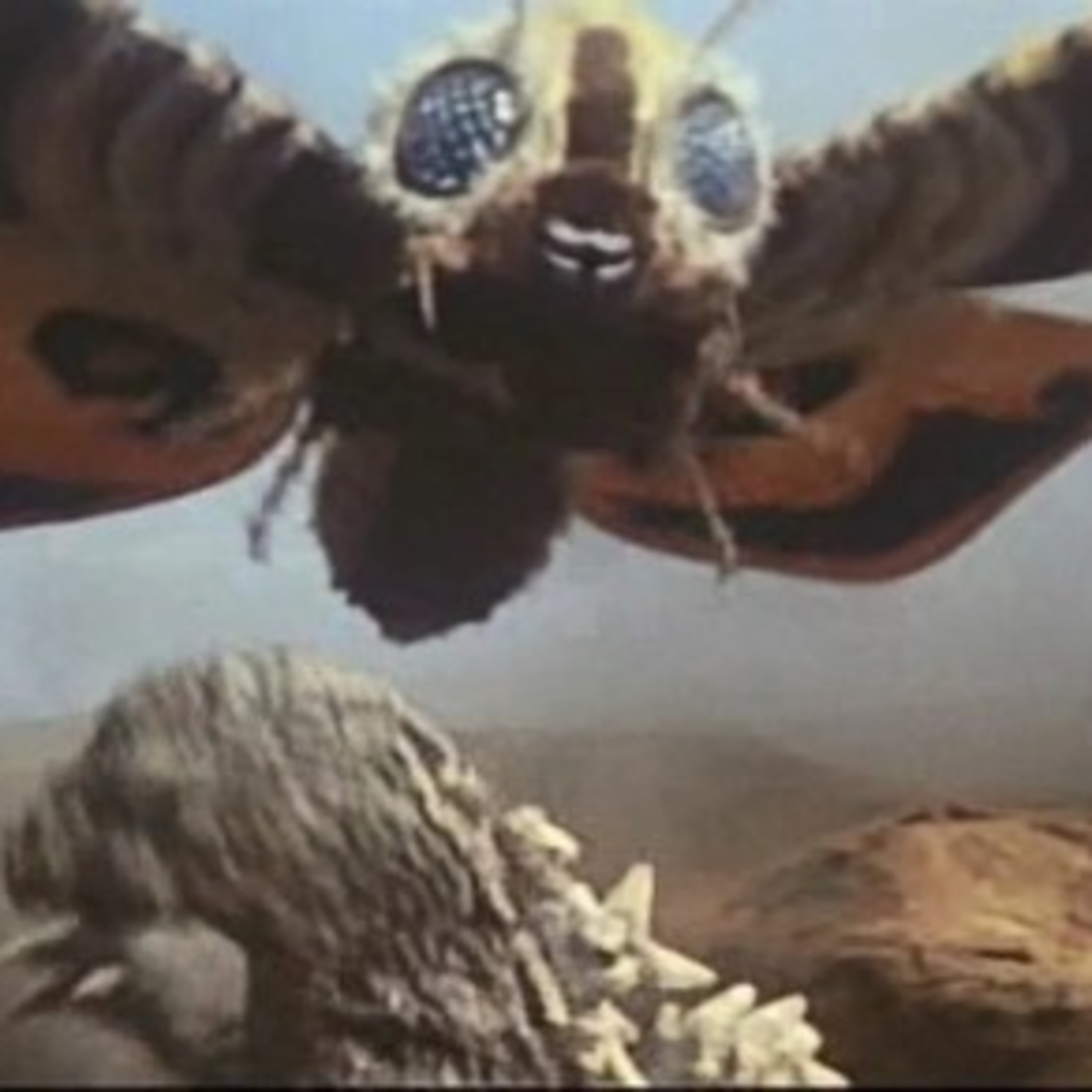 Mothra vs. Godzilla (1964) feat. Ben Cook-Feltz