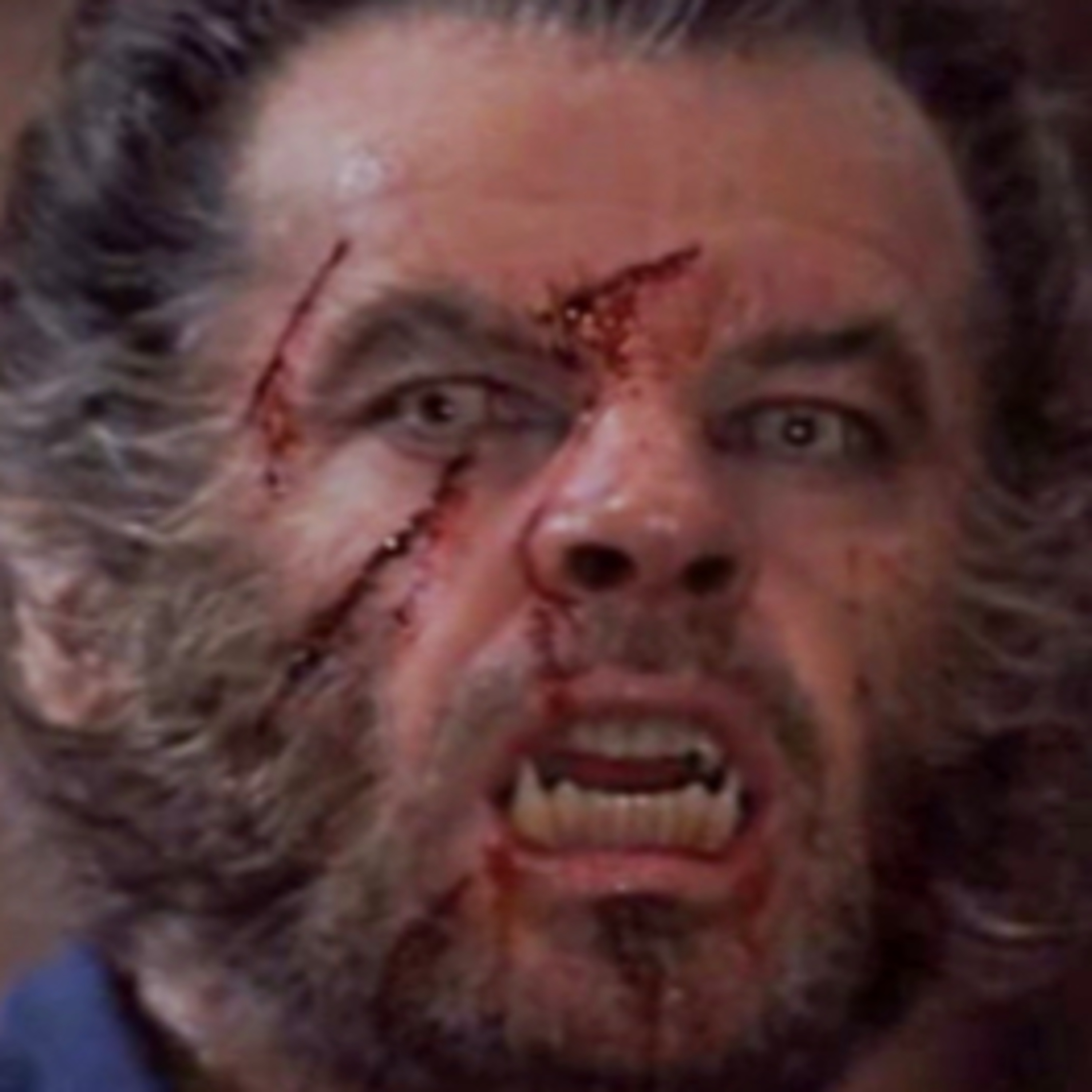 Wolf (1994)
