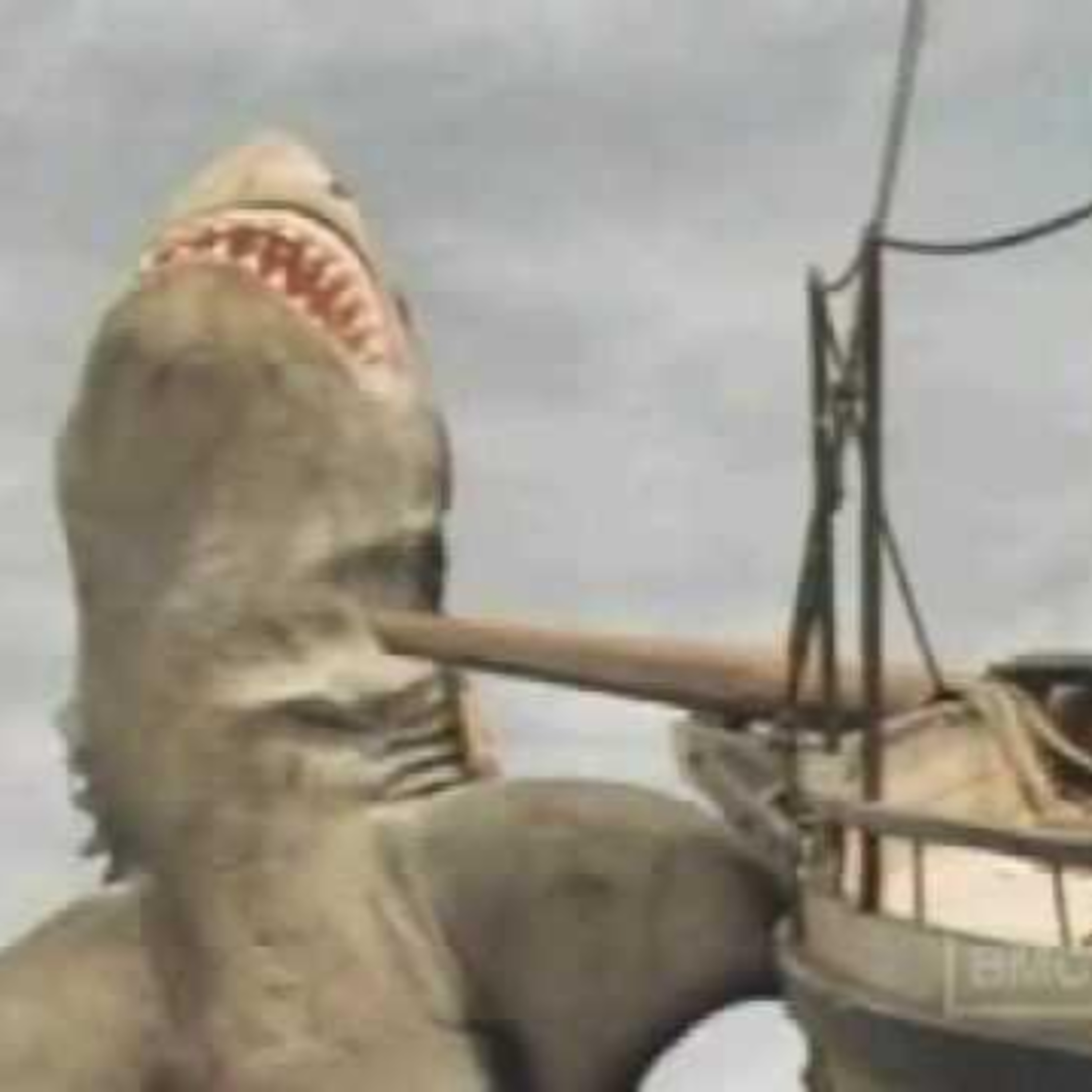 Jaws: The Revenge (1987) & The Untamed (2016)