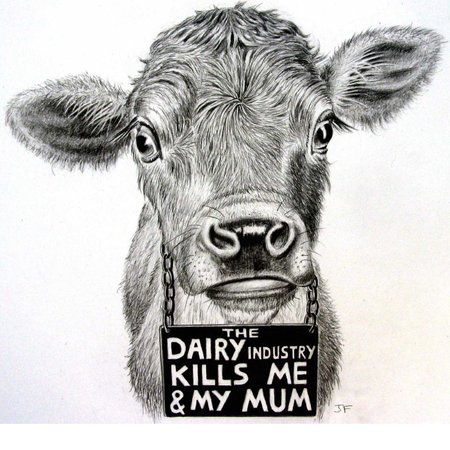 ¿QUÉ PODEMOS HACER ANTE EL CONSUMISMO DE LA CARNE? CAMPAÑA “DÁNDOLE VIDA AL PLANETA”