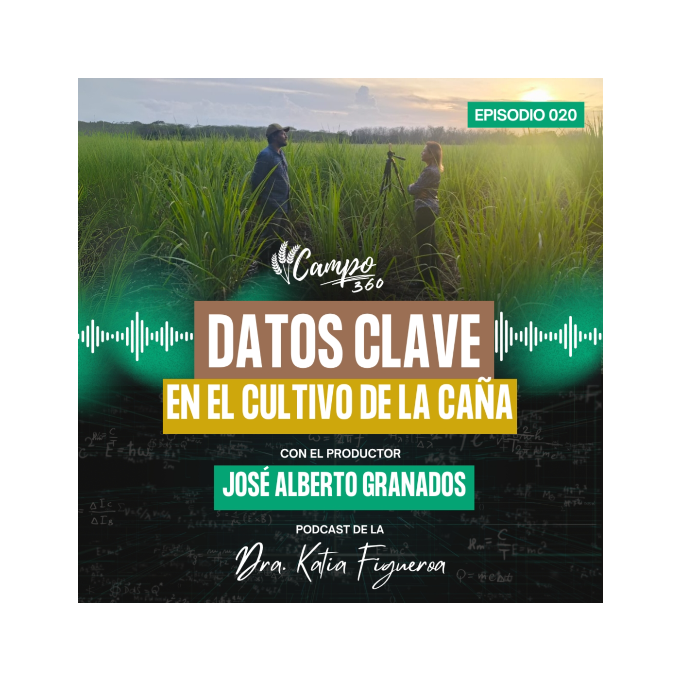 Campo360