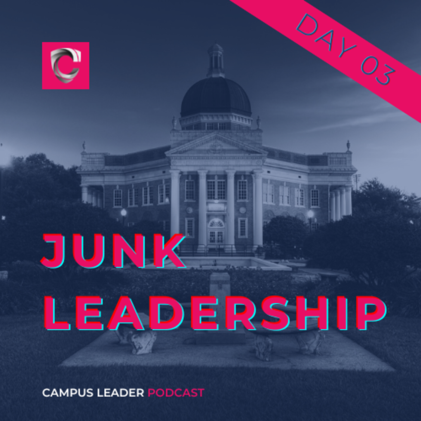 Junk Leadership