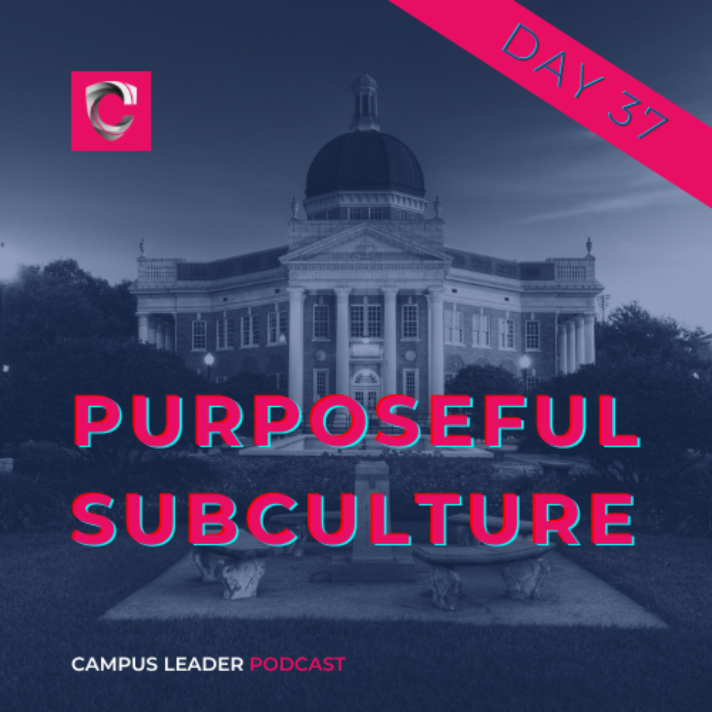 Purposeful Subculture