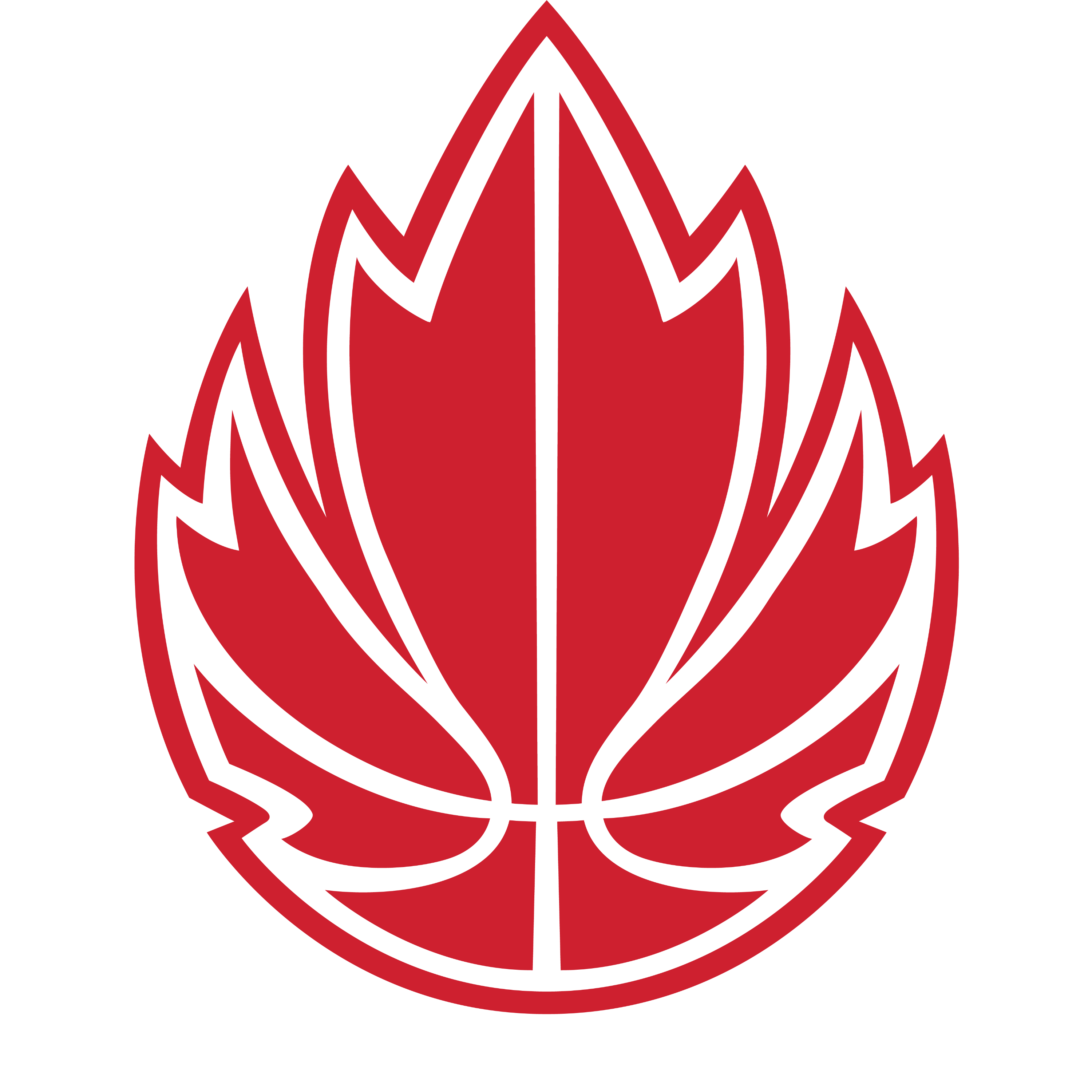 Canada Basketball Coaching Podcast