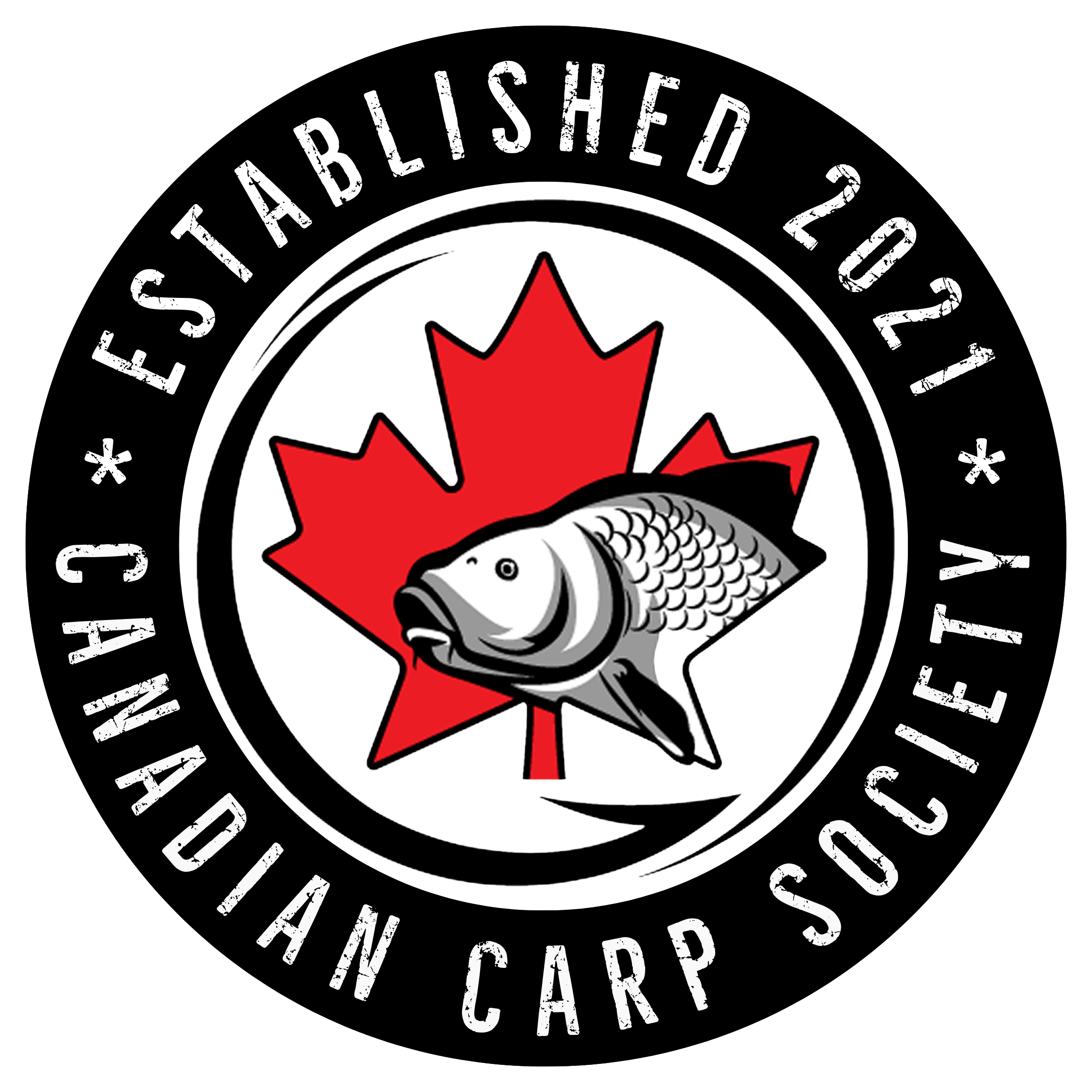 Canadian Carp Society Podcast #29 - Joe Wooltorton episode artwork