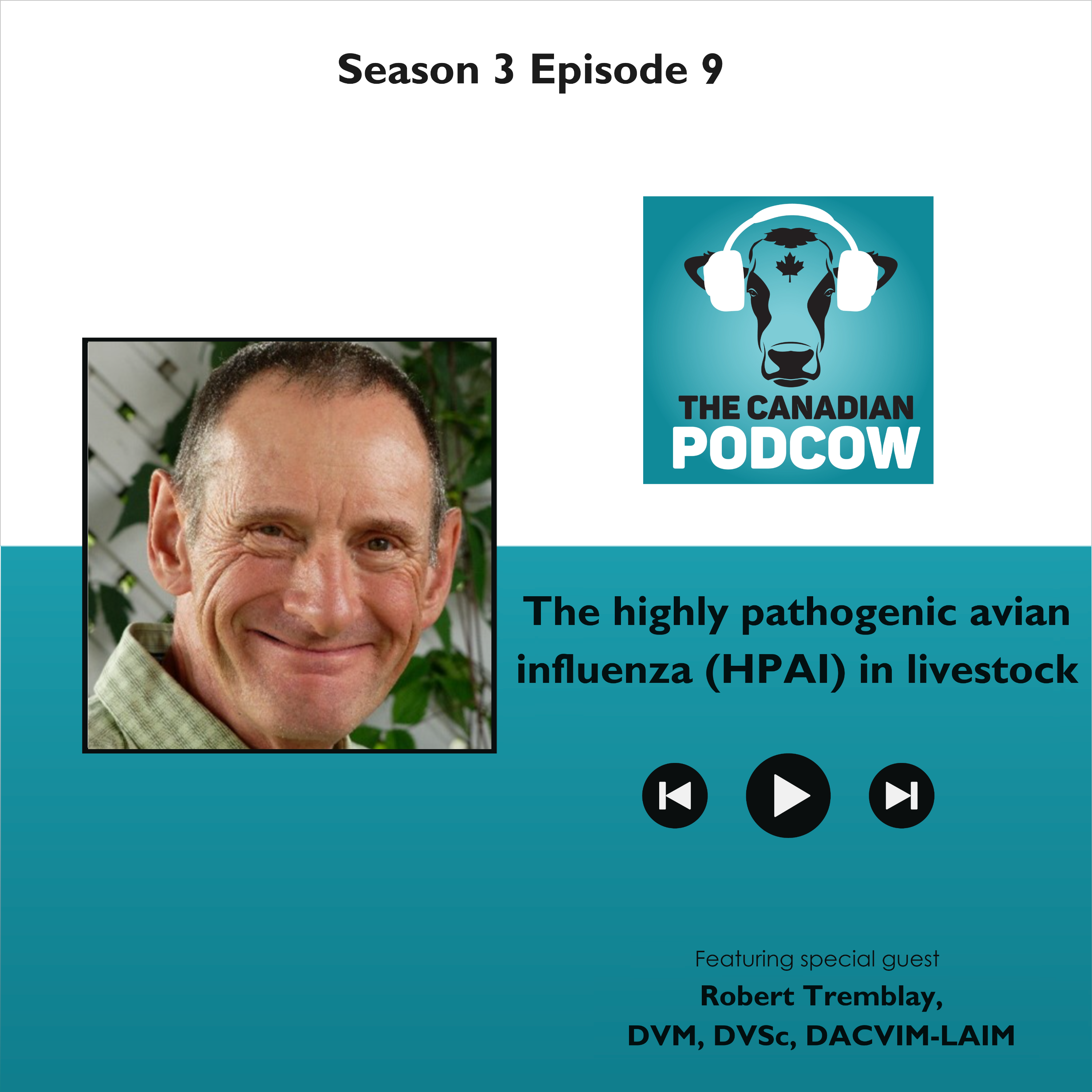 The Canadian Podcow