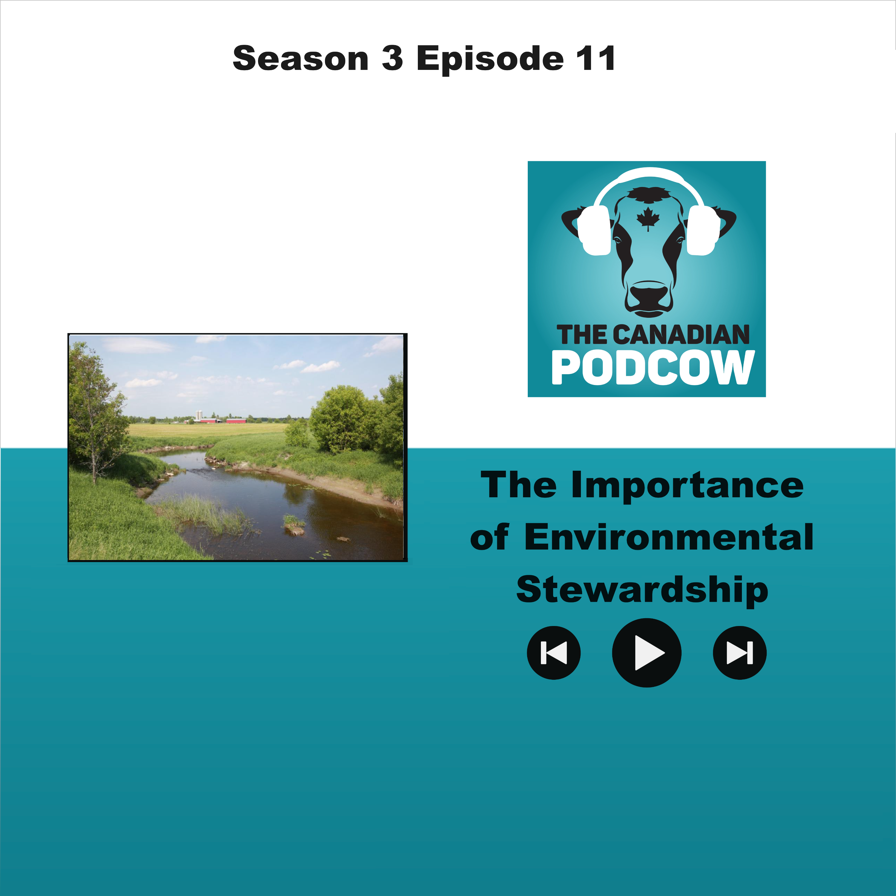 The Canadian Podcow