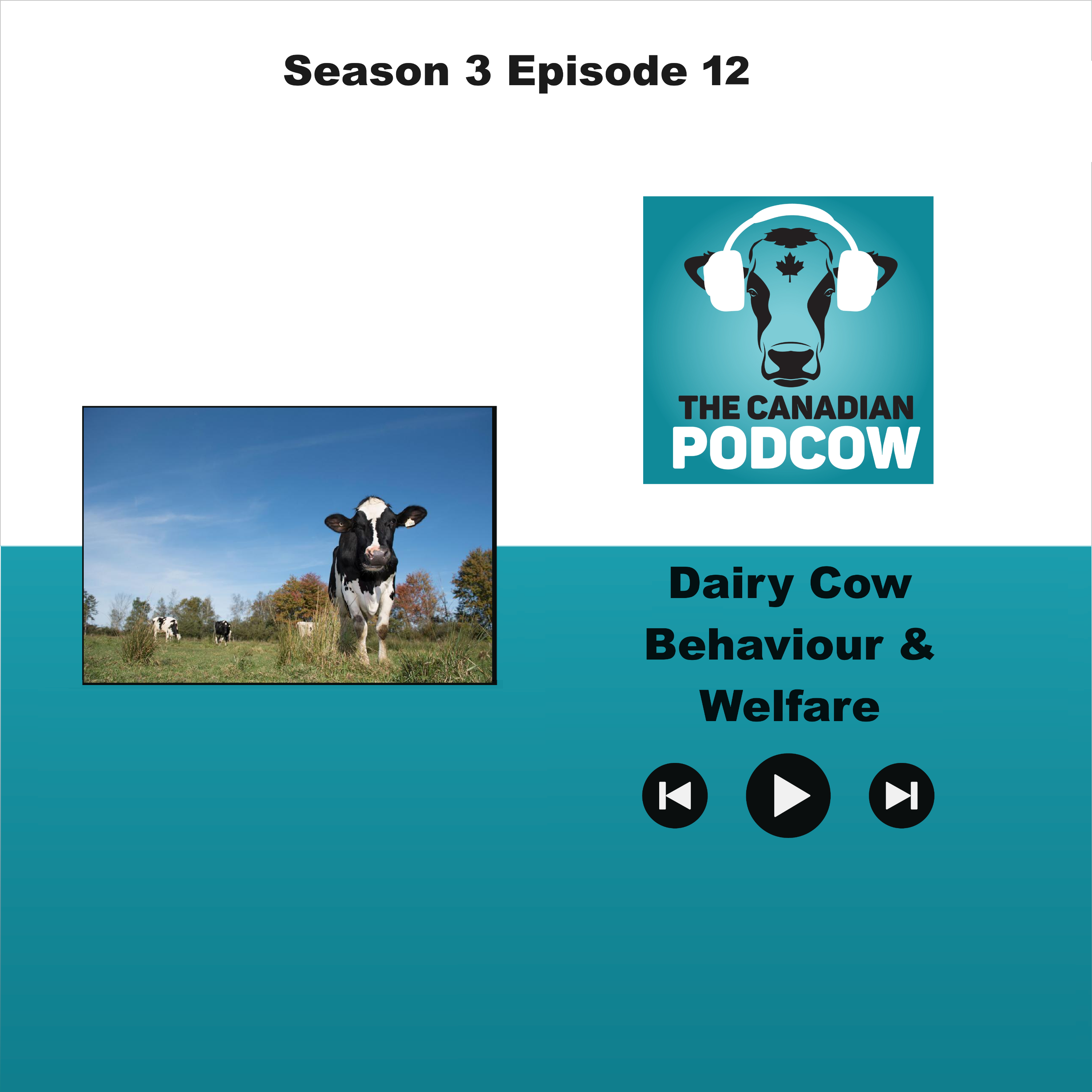 The Canadian Podcow