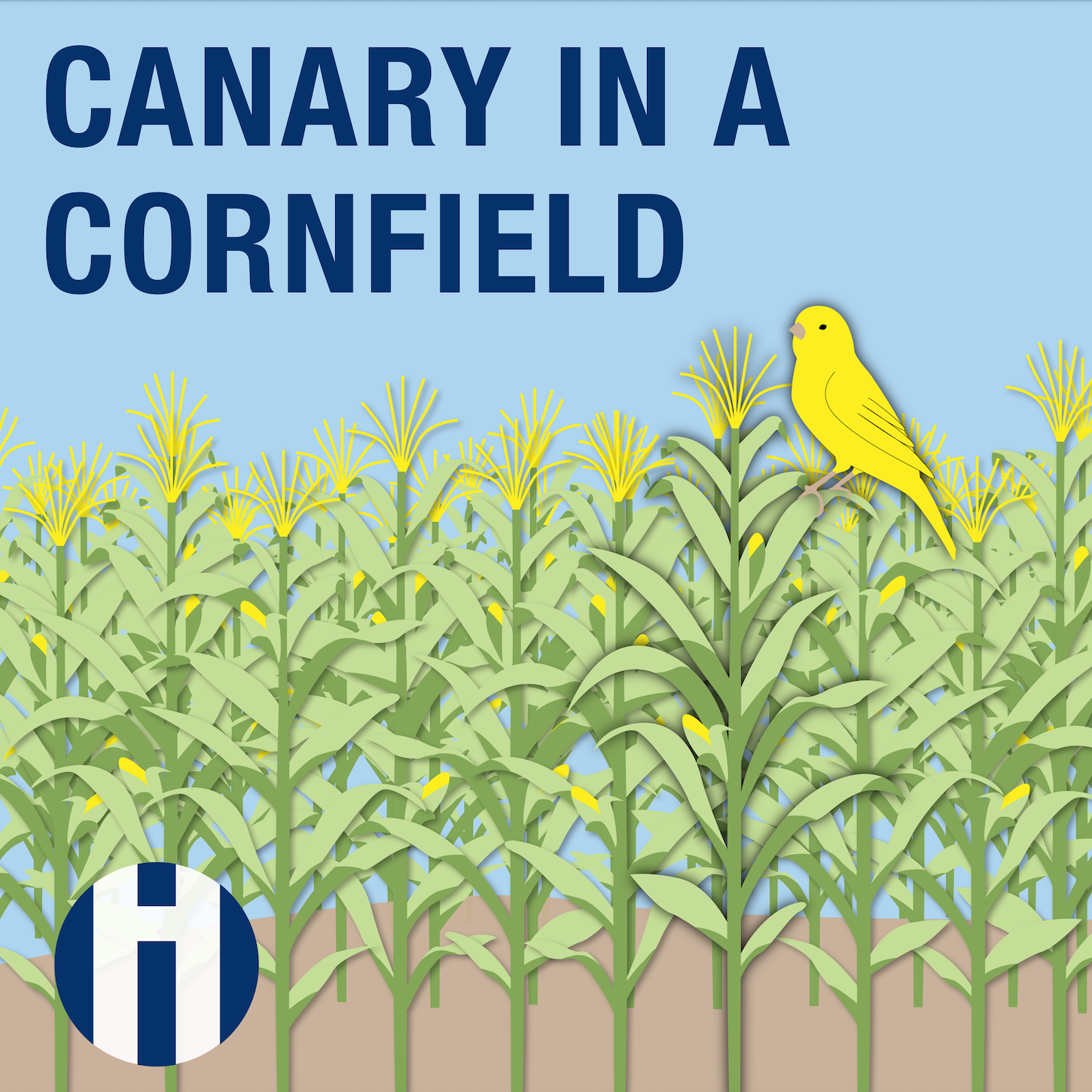 Canary in a Cornfield