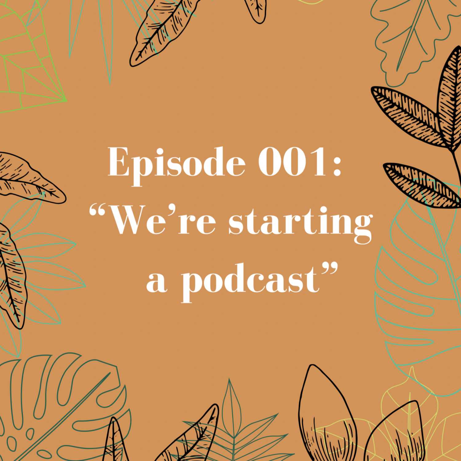 Episode 001: We're starting a podcast!