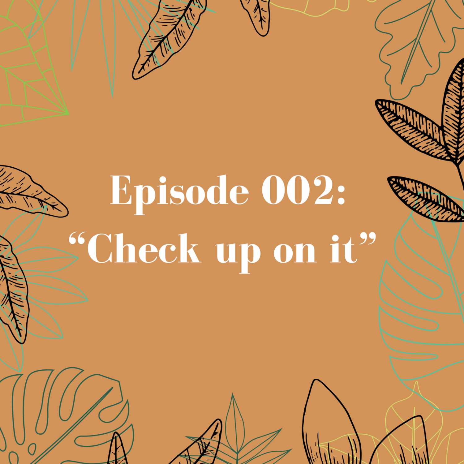 Episode 002: Check up on it.
