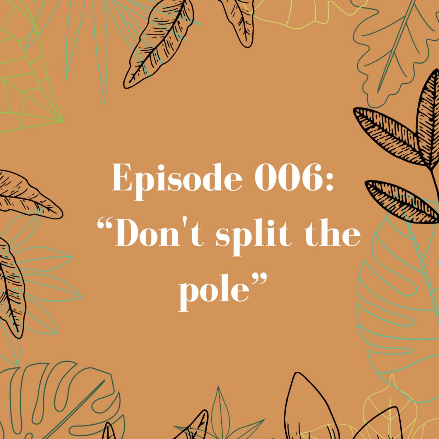 Episode 006: Don't split the pole!