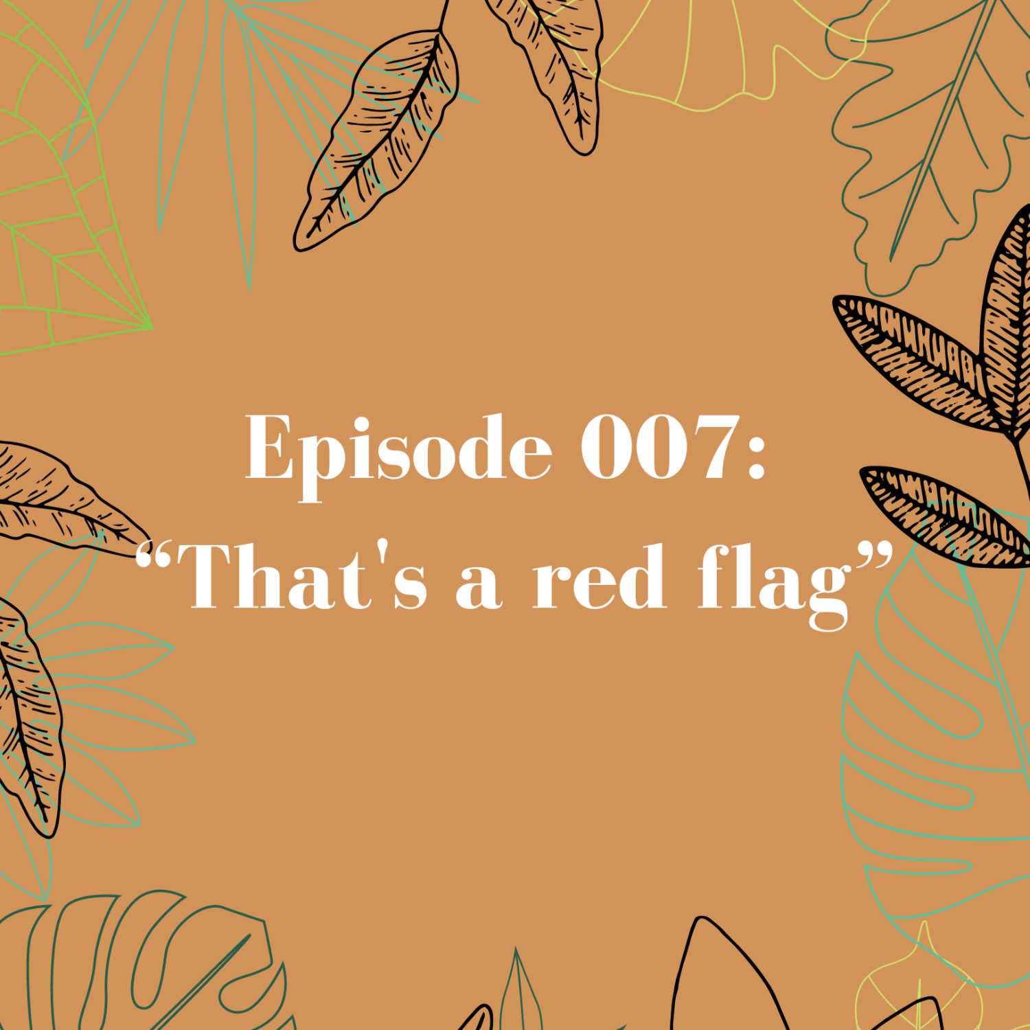 Episode 007: That's a red flag.