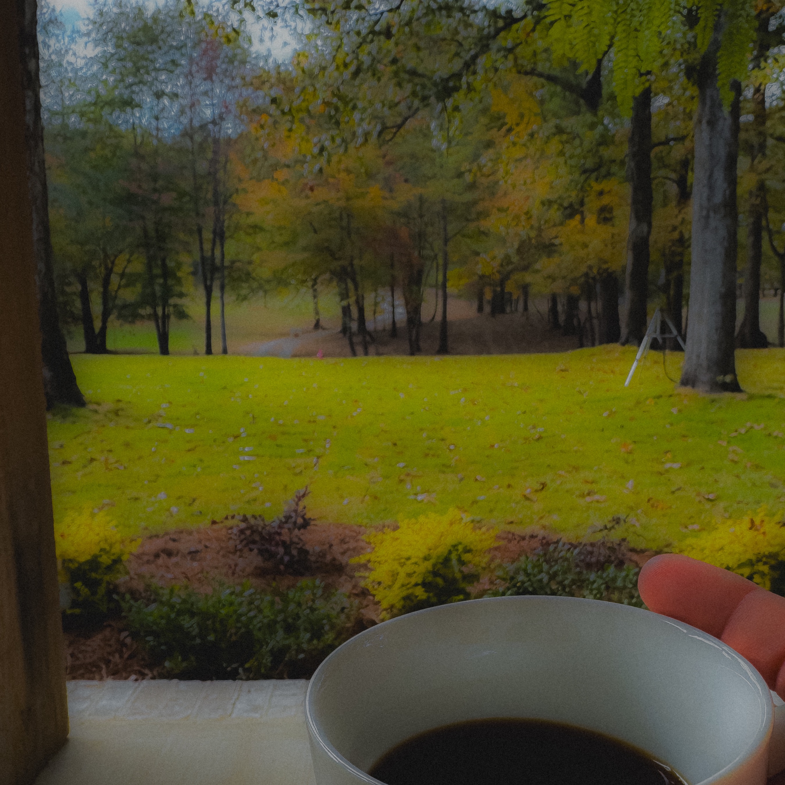 Candor with Colberly