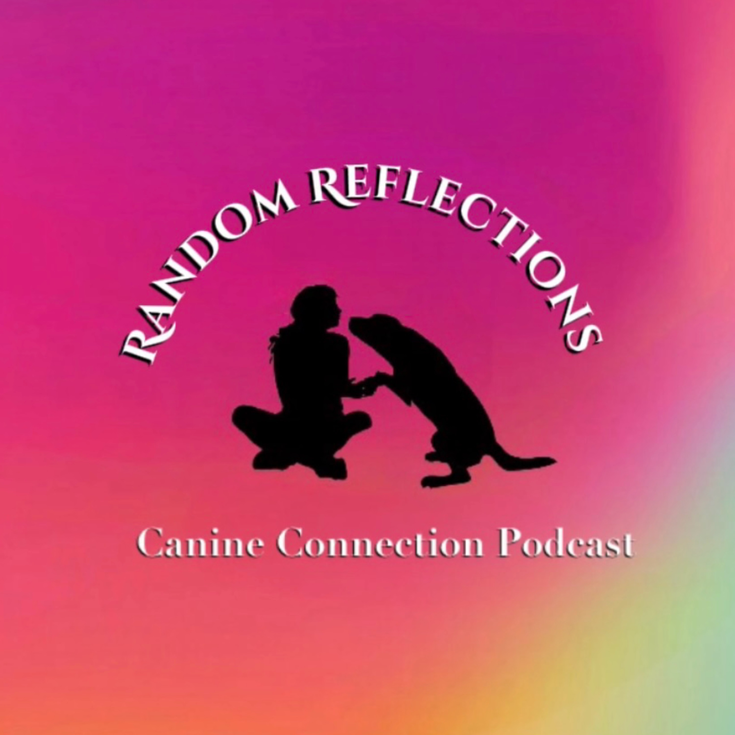 Random Reflections: The Power of Rest