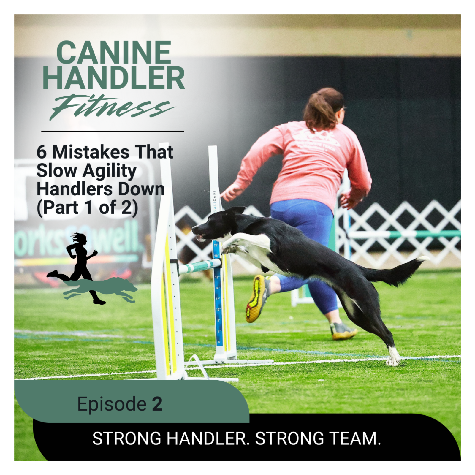 6 Mistakes That Slow Agility Handlers Down (Part 1 of 2) episode artwork