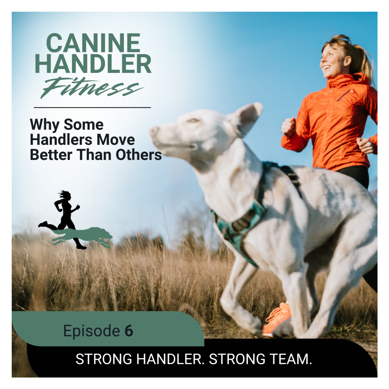 Why Some Handlers Move Better Than Others episode artwork