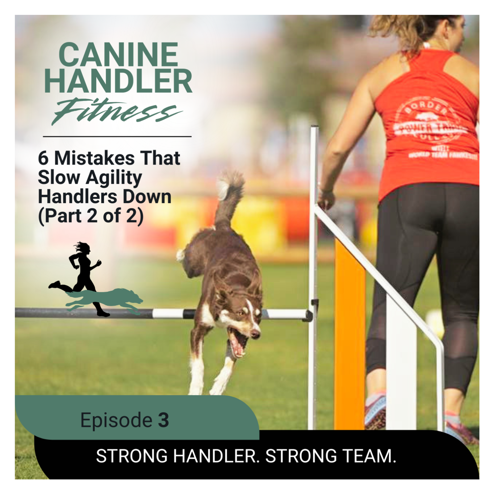 6 Mistakes That Slow Agility Handlers Down (Part 2 of 2) episode artwork