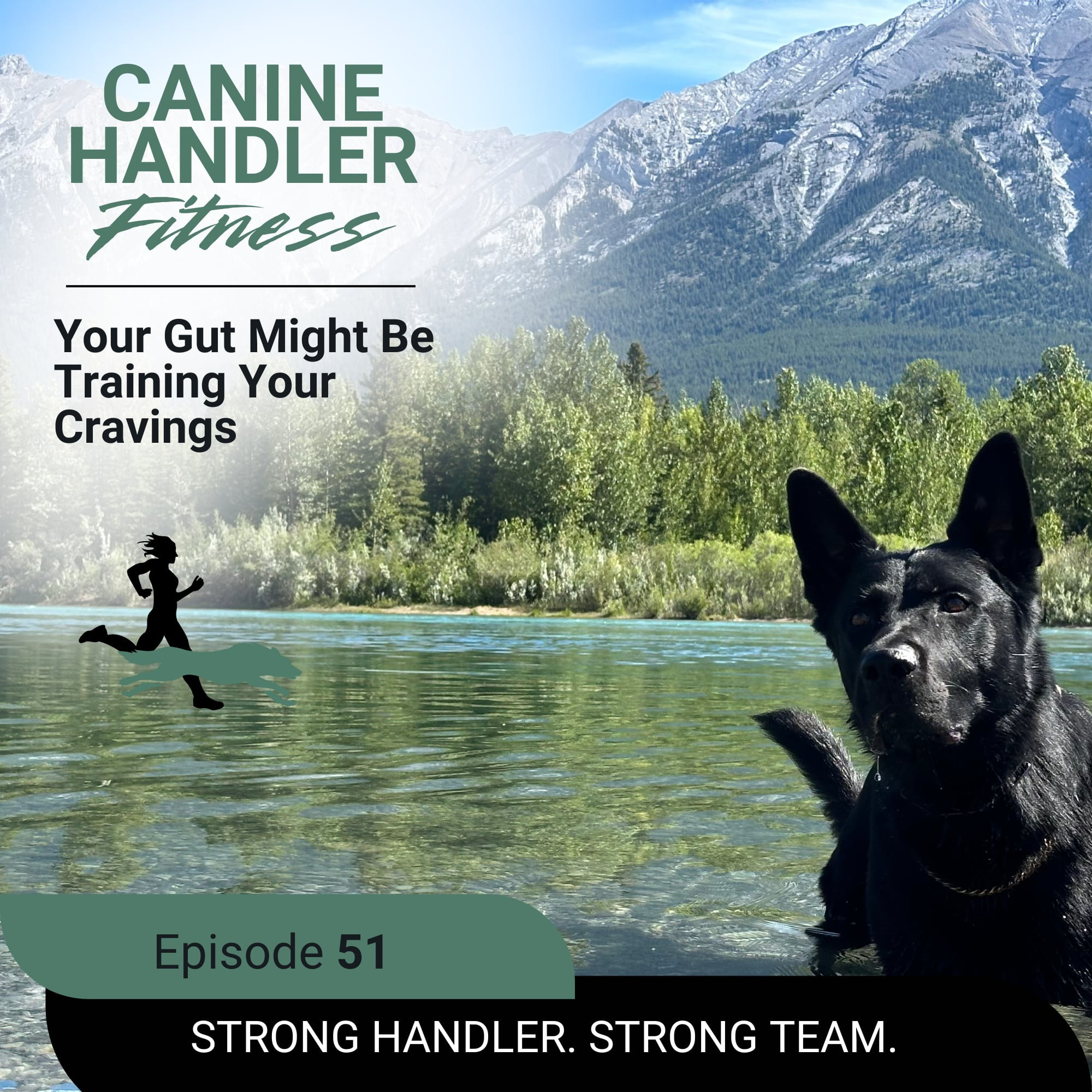 Your Gut Might Be Training Your Cravings episode artwork