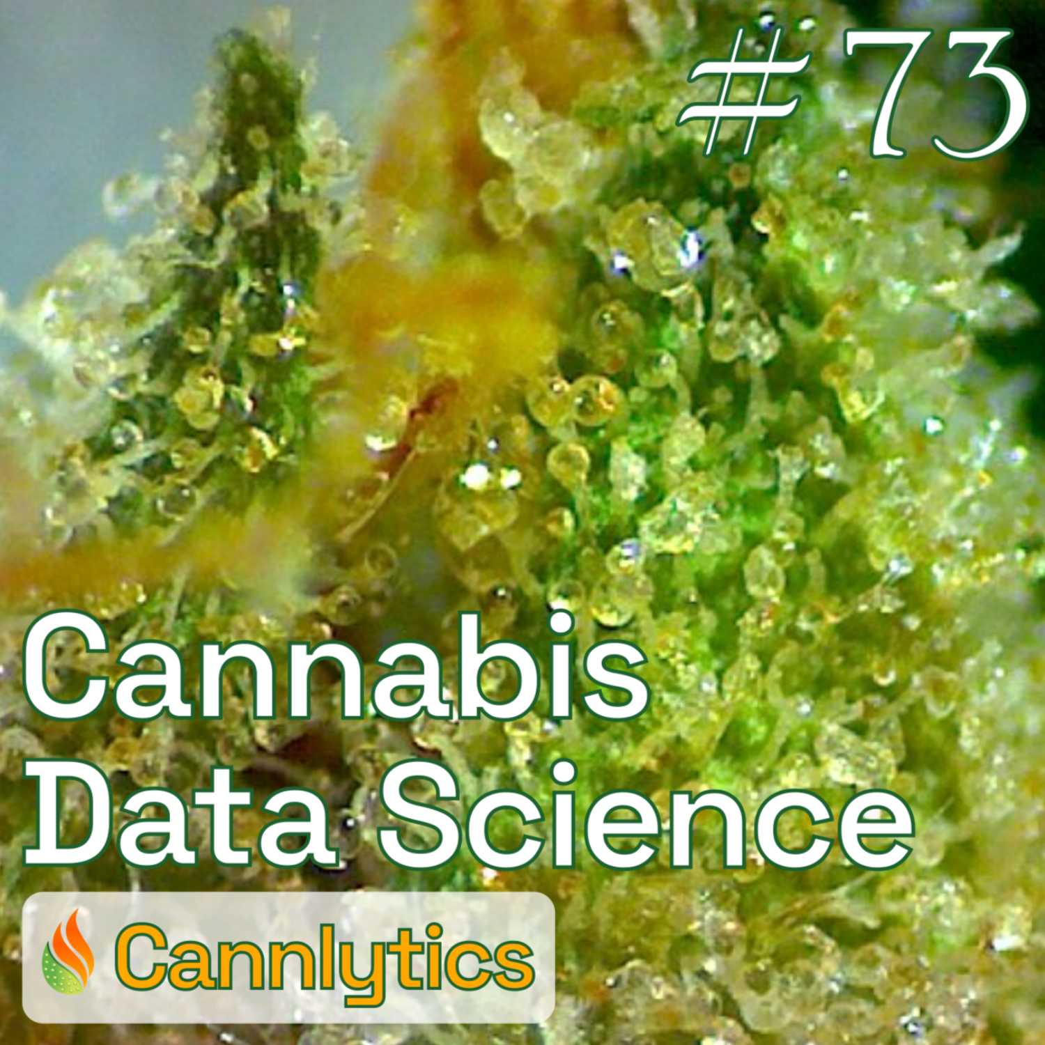Cannabis Data Science