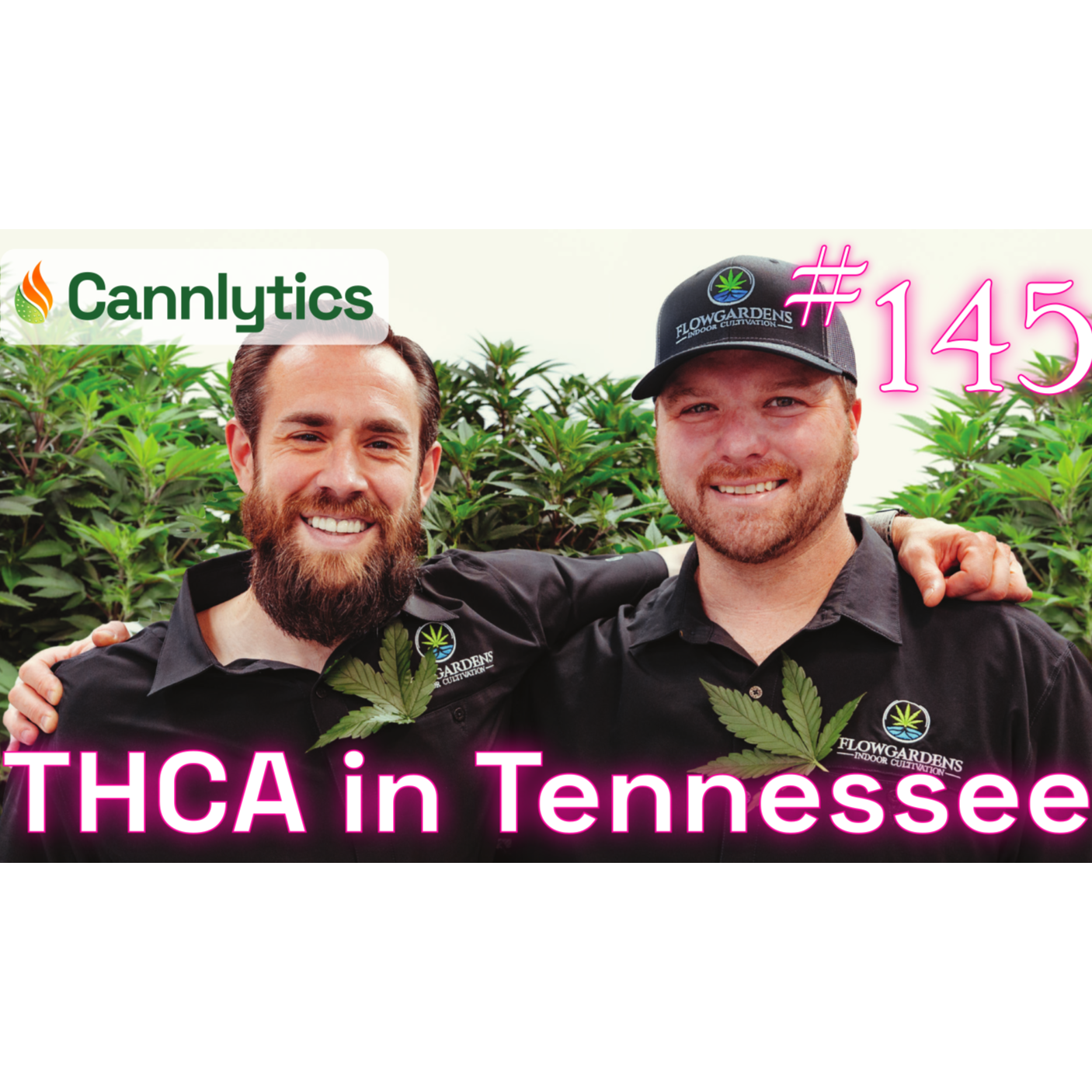 Cannabis Data Science