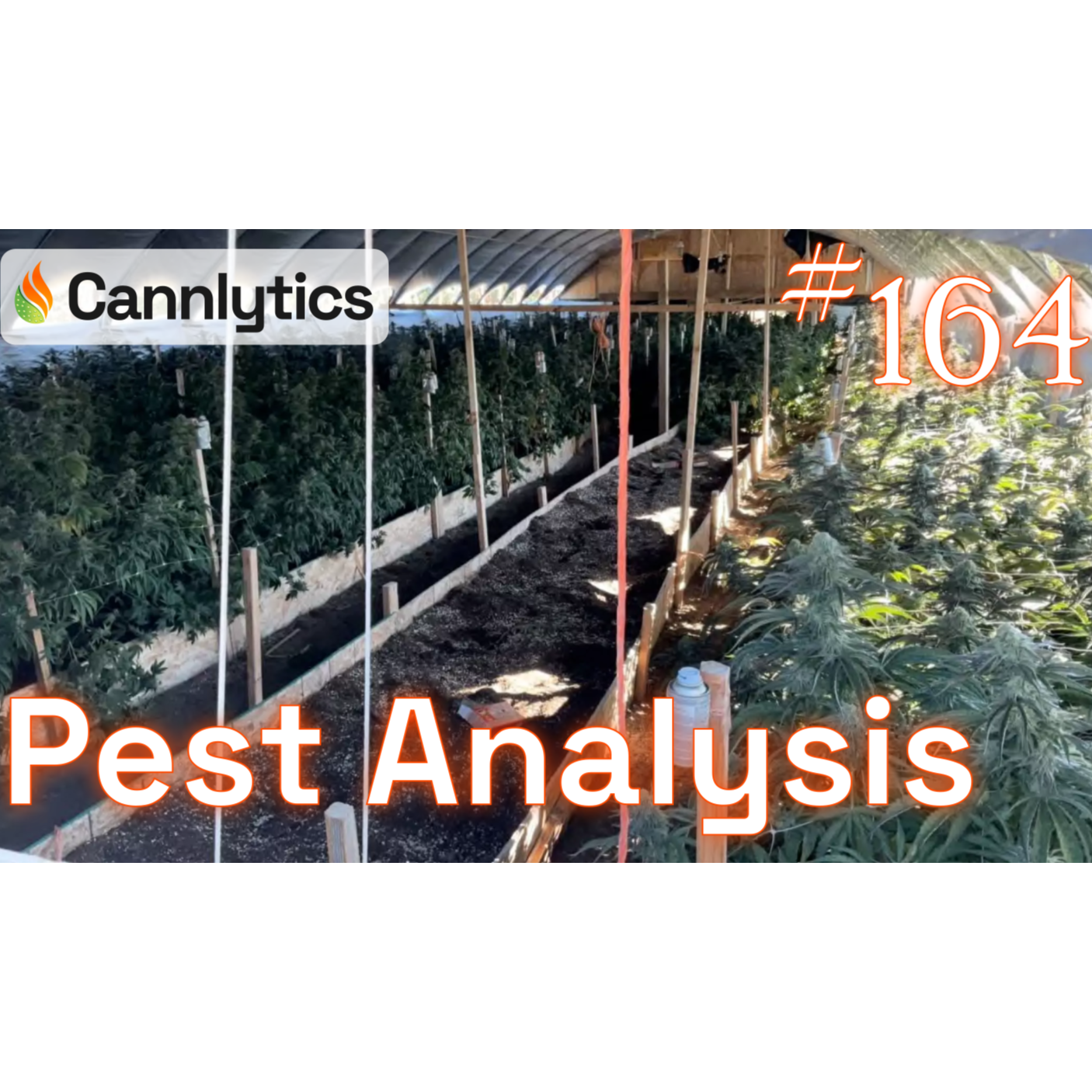 Cannabis Data Science
