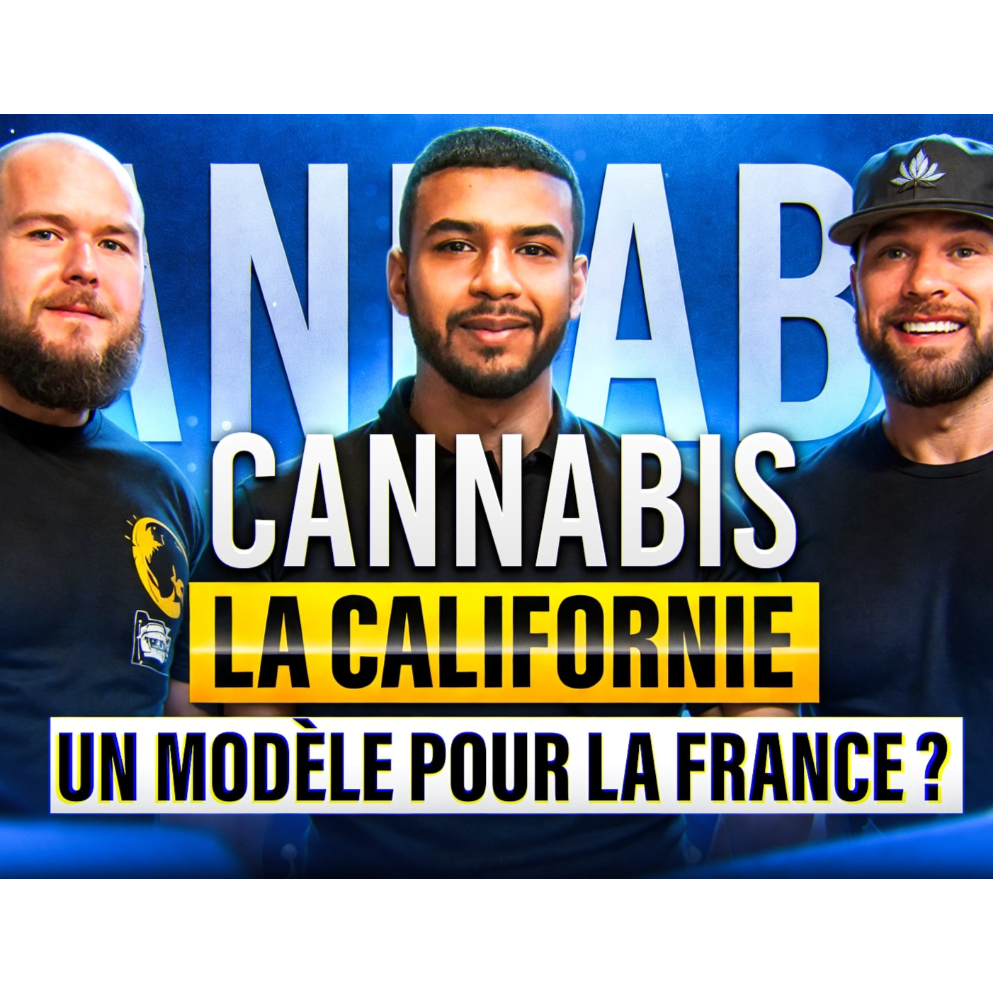 Georges Lazan - Cannabis : la Californie, un modèle pour la France ? Avec Caleb Counts et Ted Lidie episode artwork