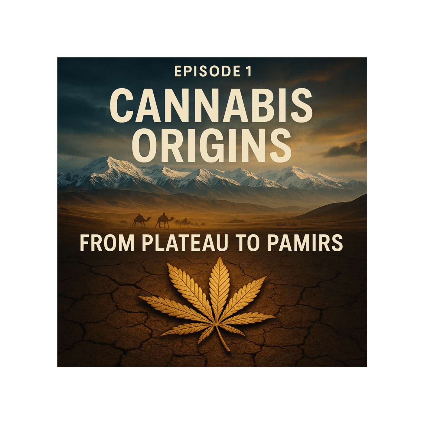 CannaInsights