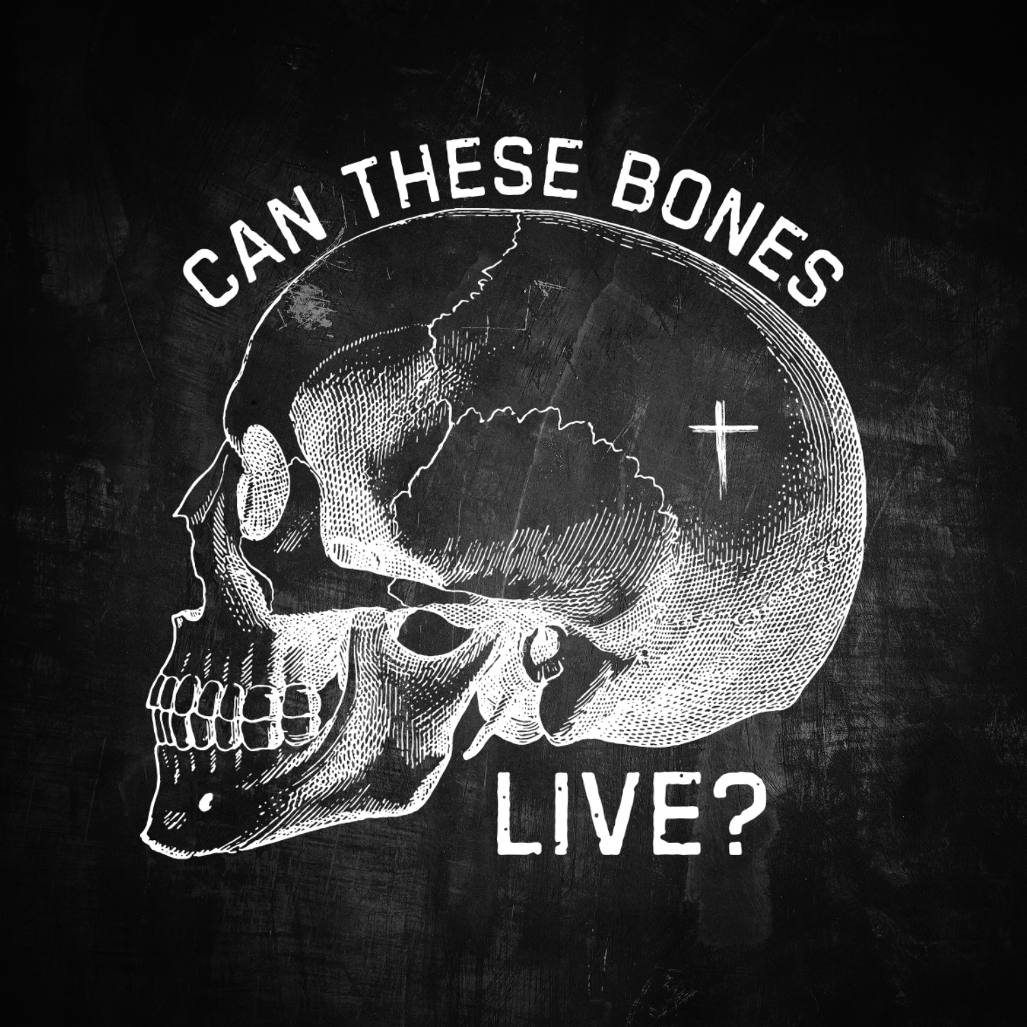 Can These Bones Live? Official Podcast of The Promised TV Series podcast artwork