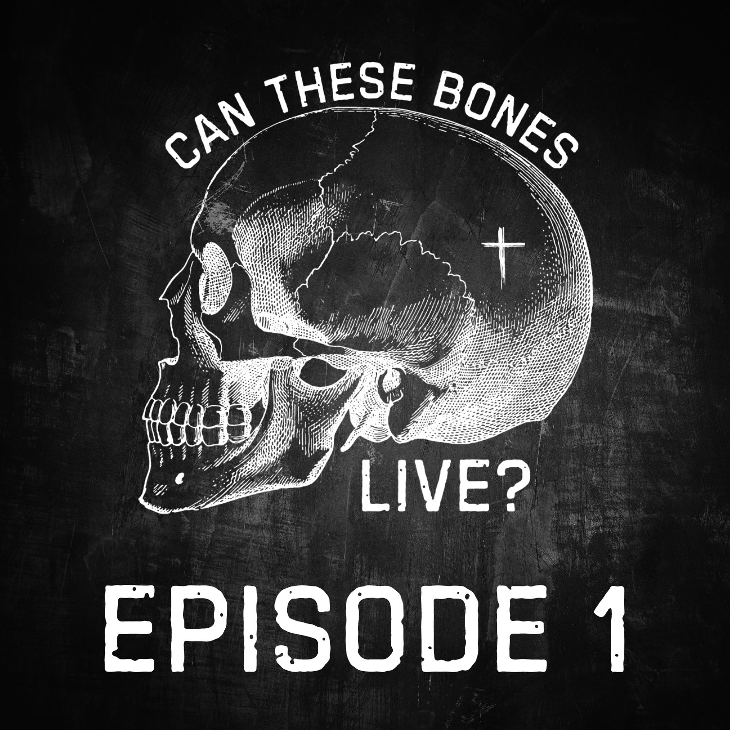 Genesis episode artwork
