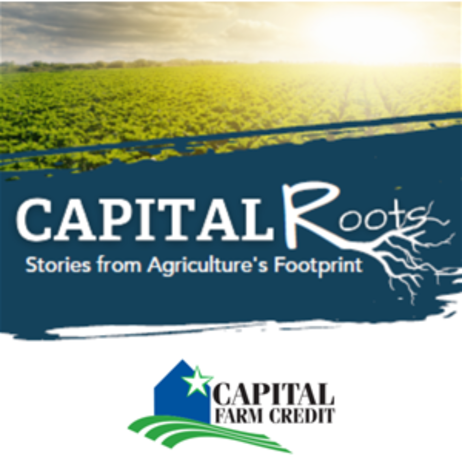 Capital Roots: Stories from Agriculture\'s Footprint