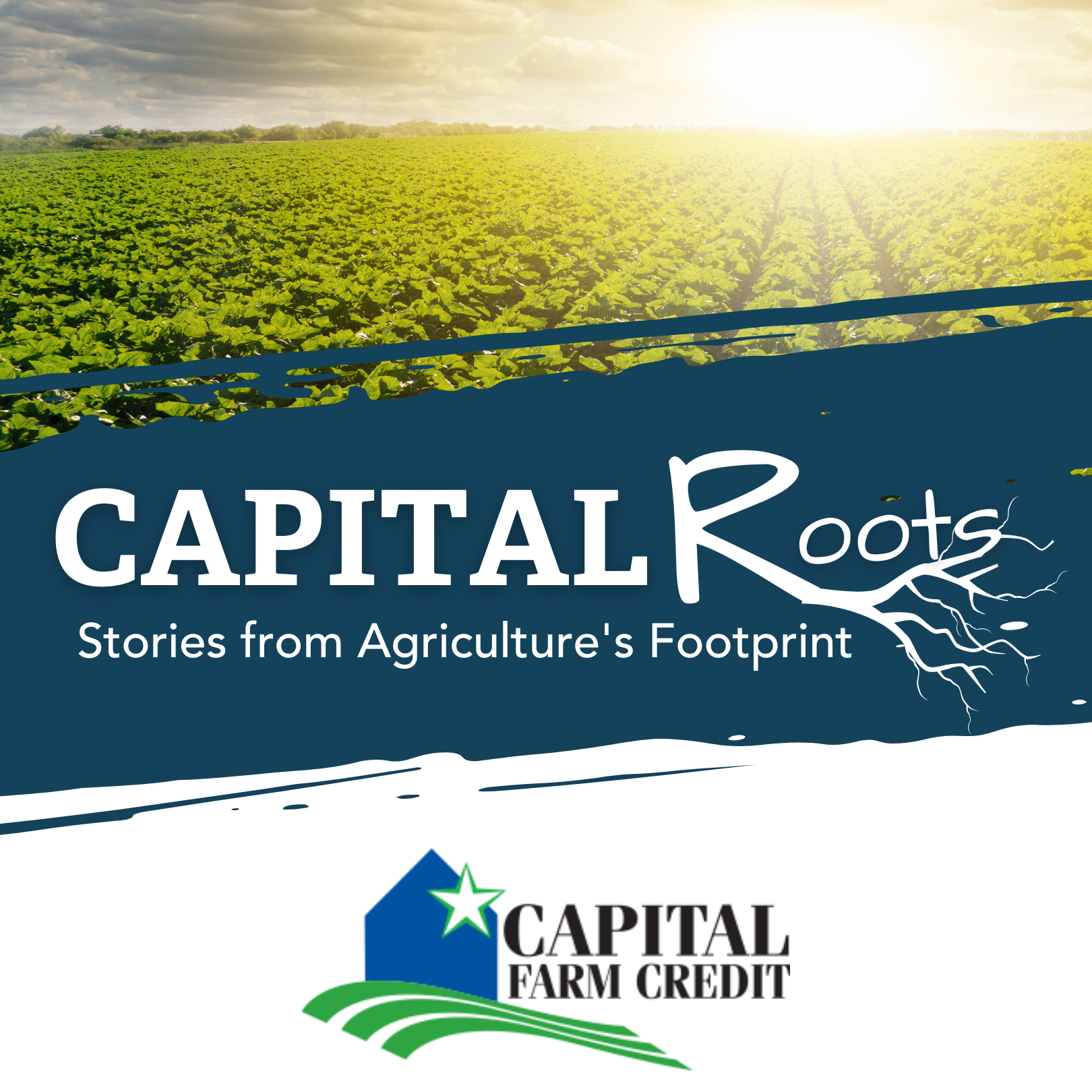 Podcast | Capital Farm Credit